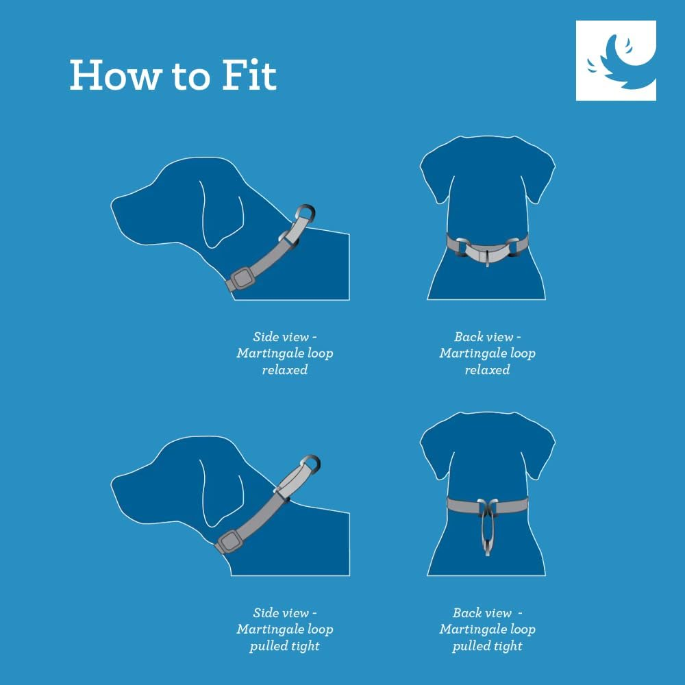 RC Pet Products 1-1/2-Inch All Webbing Martingale Dog Collar, Medium 12 to 20-Inch, Tan Tartan image number 6