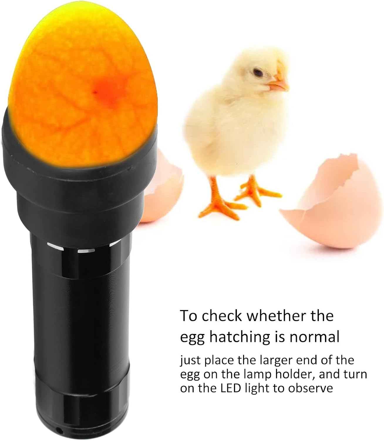 Egg Candler, LED Egg Candler Tester, Bright Cool Light Candling Lamp with Lanyard for Chicken Ducks Birds Goose Incubating, Observing Eggs Development image number 3