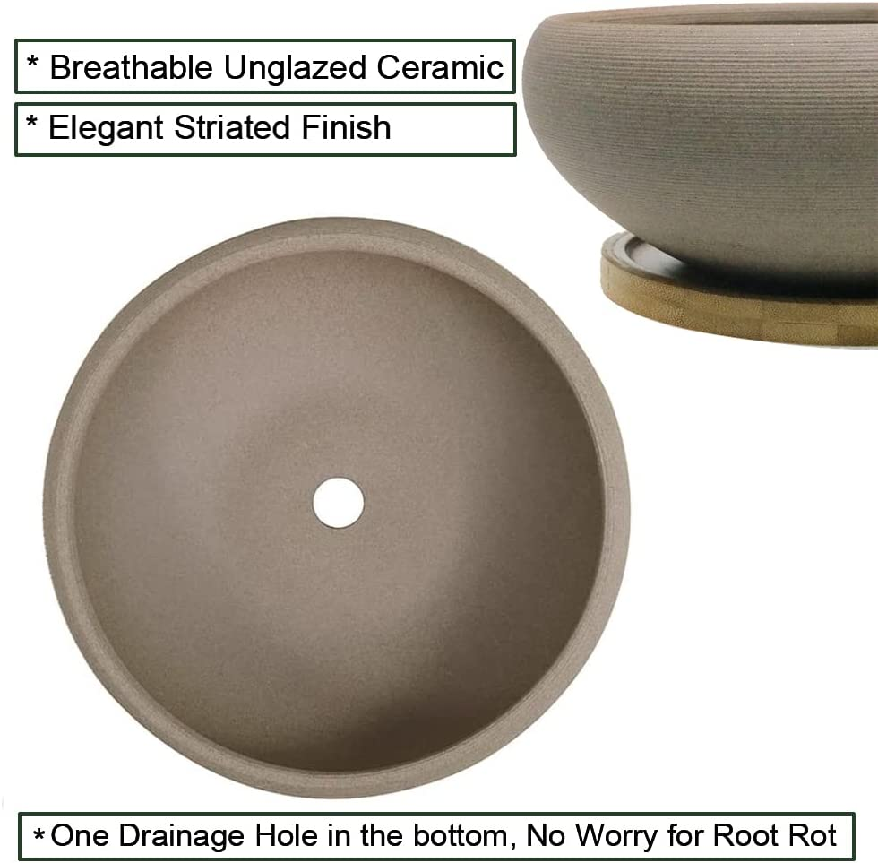MUZHI round Unglazed Ceramic Bonsai Pot with Bamboo Tray, Large Rough Pottery Succulent Planter with Drainage Hole 8 Inch &hellip; image number 2