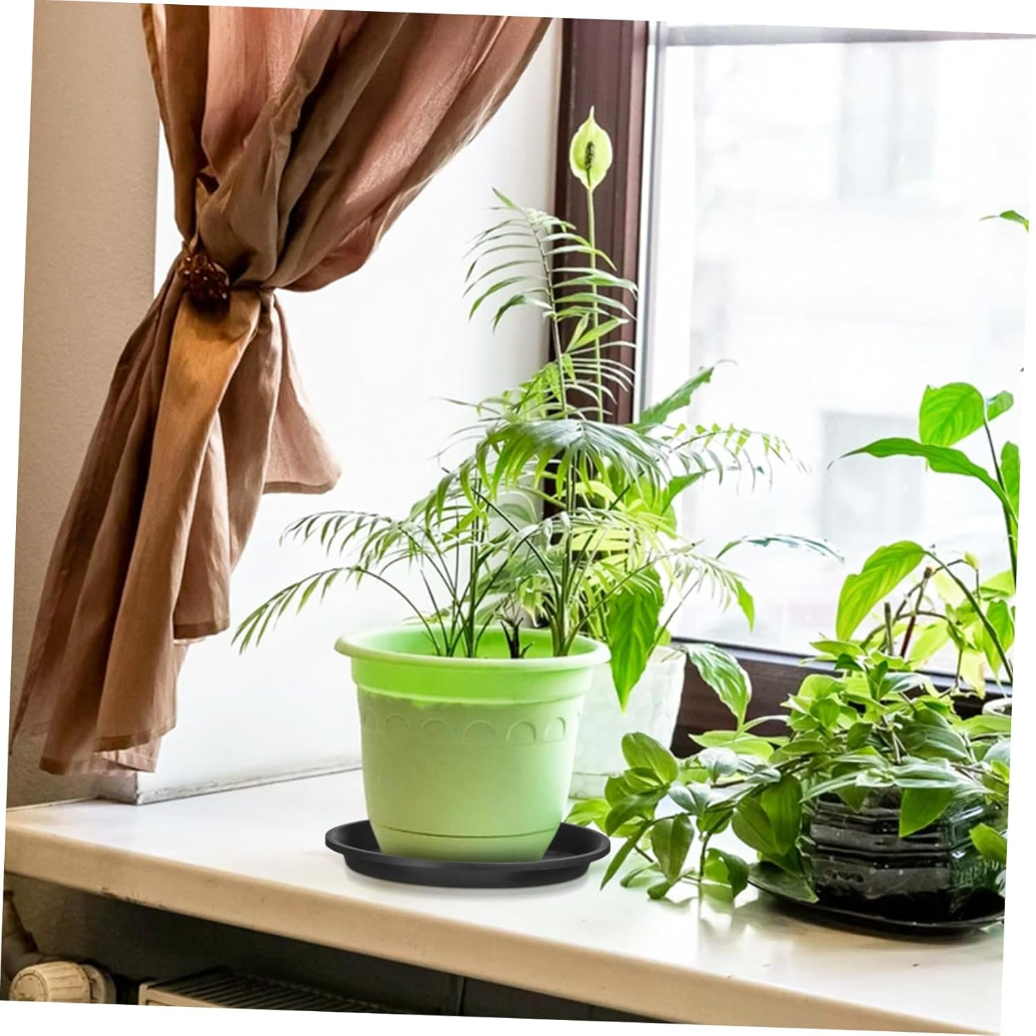 IWOWHERO 10Pcs Plant Pot Saucers round Drip Trays for Flower Pots Gardening Use Bonsai Water Trays Home Supplies image number 2