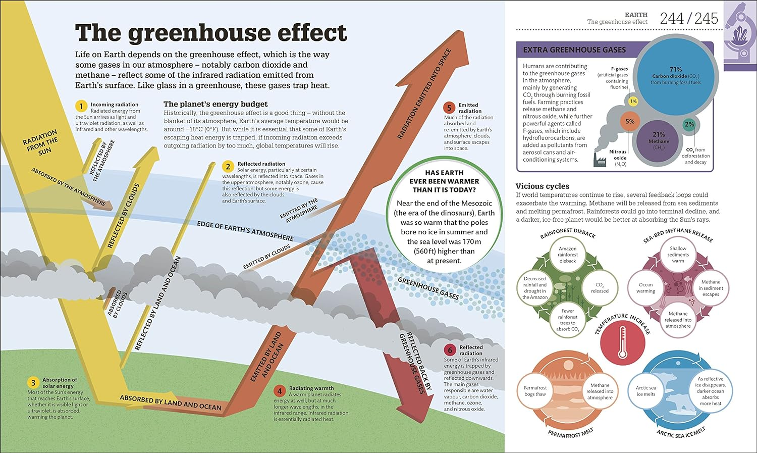 How Science Works: the Facts Visually Explained image number 1