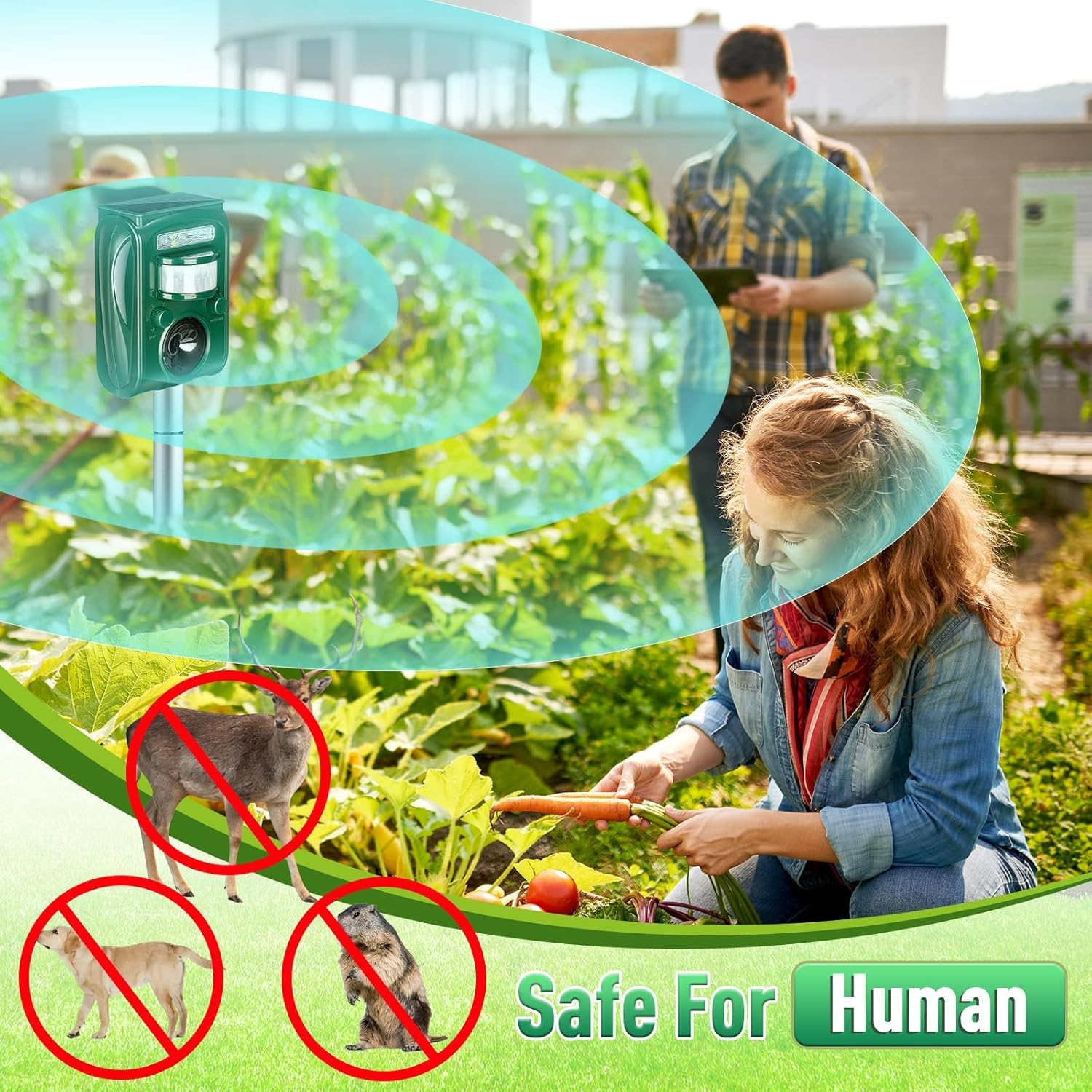 Solar Animal Repeller, Ultrasonic Cat Deterrent Outdoor, Usb/Solar Powered Repellent, Motion Sensor & Flashing Light, Repel Dogs, Fox, Raccoon, Rabbit, Squirrels, Coyote Deterrent image number 6