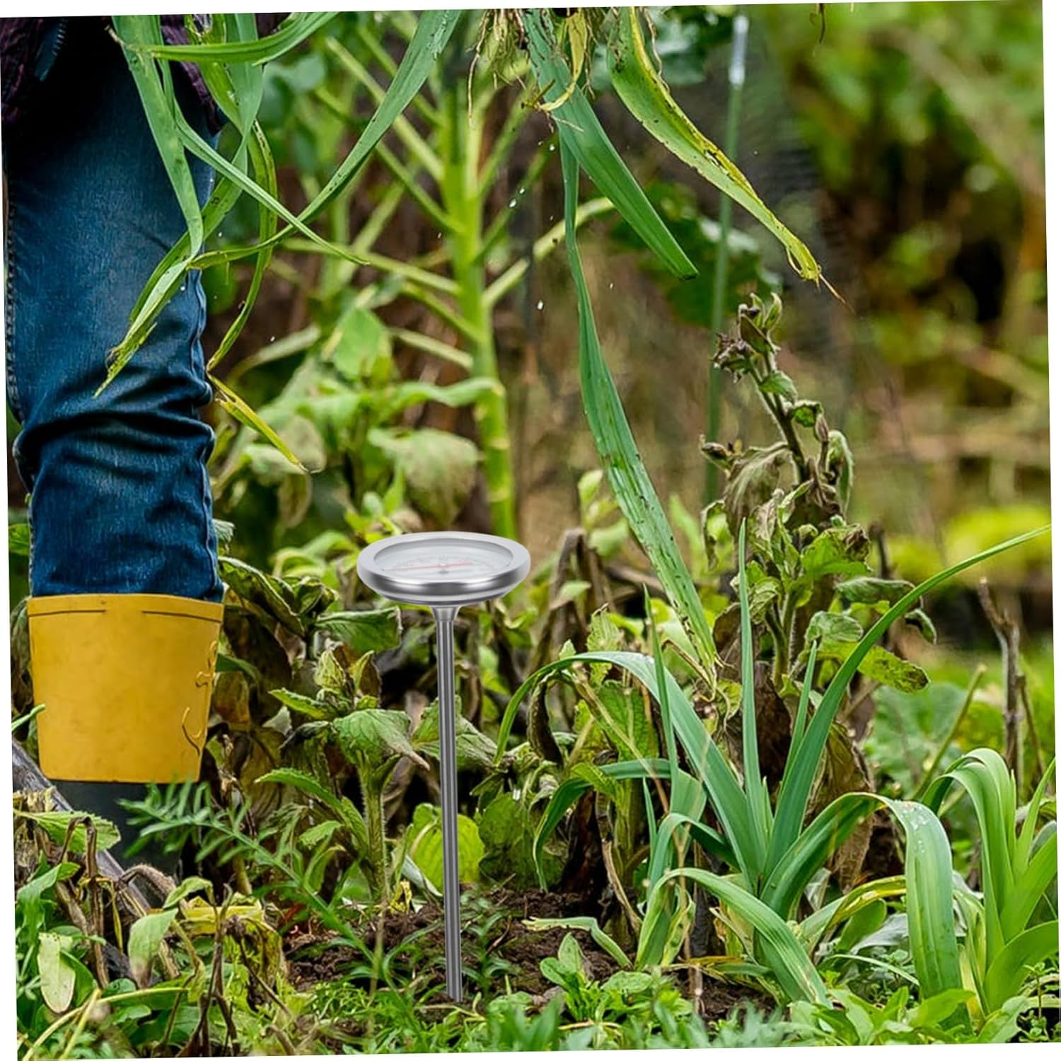 Balacoo Stainless Steel Compost Thermometer Probe with Scale Soil Temperature Gauge for Gardening Accurate Measurement C to C image number 3