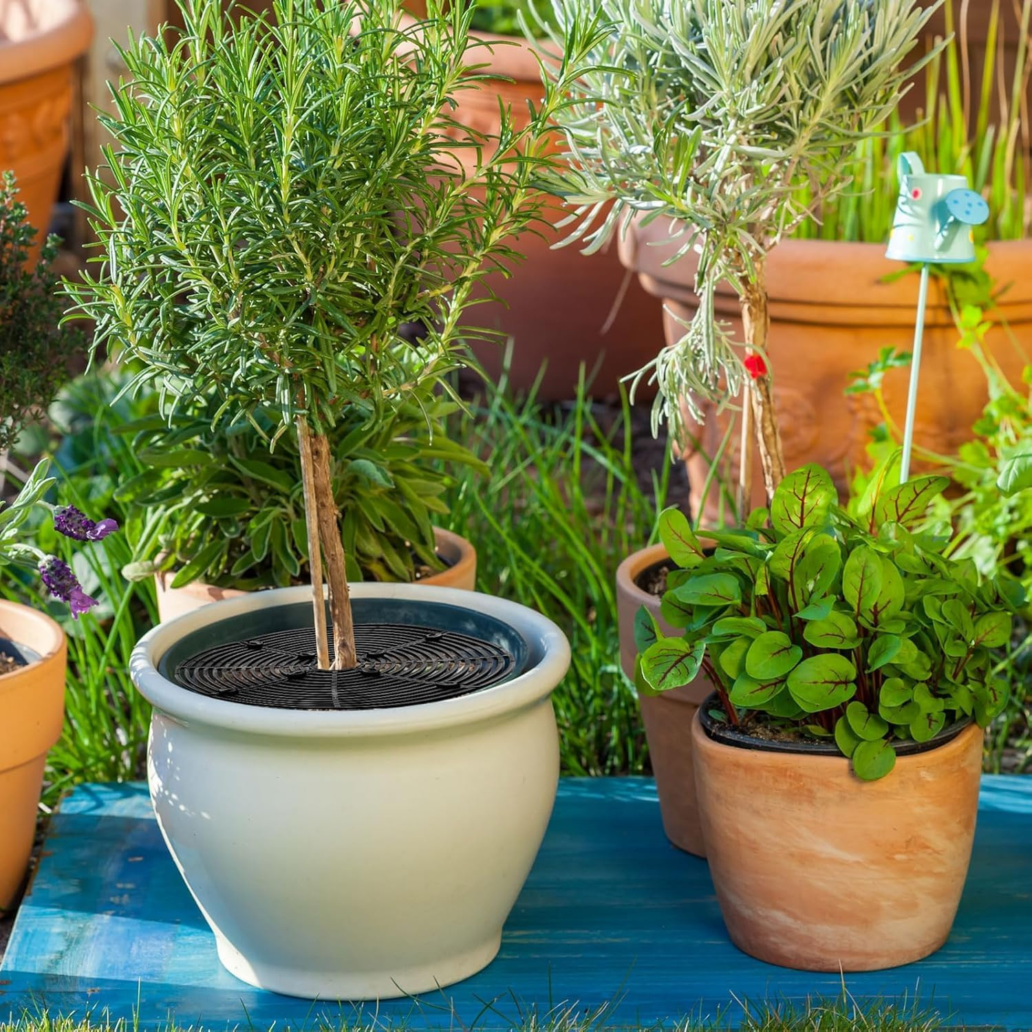 Plastic Grid Plant Pot Cover, 3Pcs Plant Pot Cover Plant Pot Grid Covers,Plant Pot Grid Cover Plant Pot Protector,Plant Pot Grid Soil Protector Cover,Plant Pot Grid Soil Protector Covers with Stake image number 1