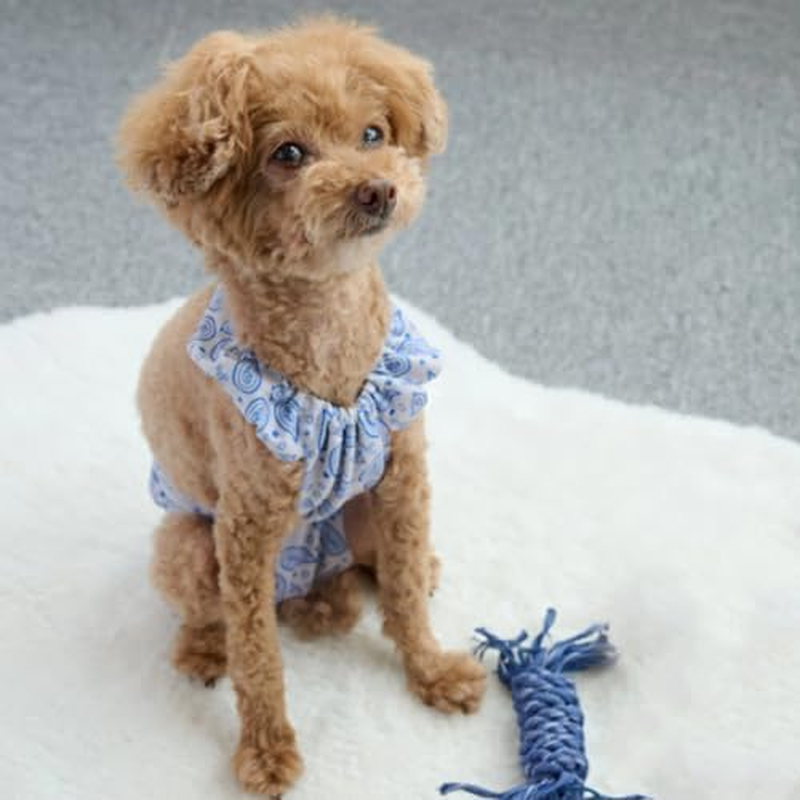 Anifull Scratching Apron for Dogs Paisley Blue Dog Small image number 1