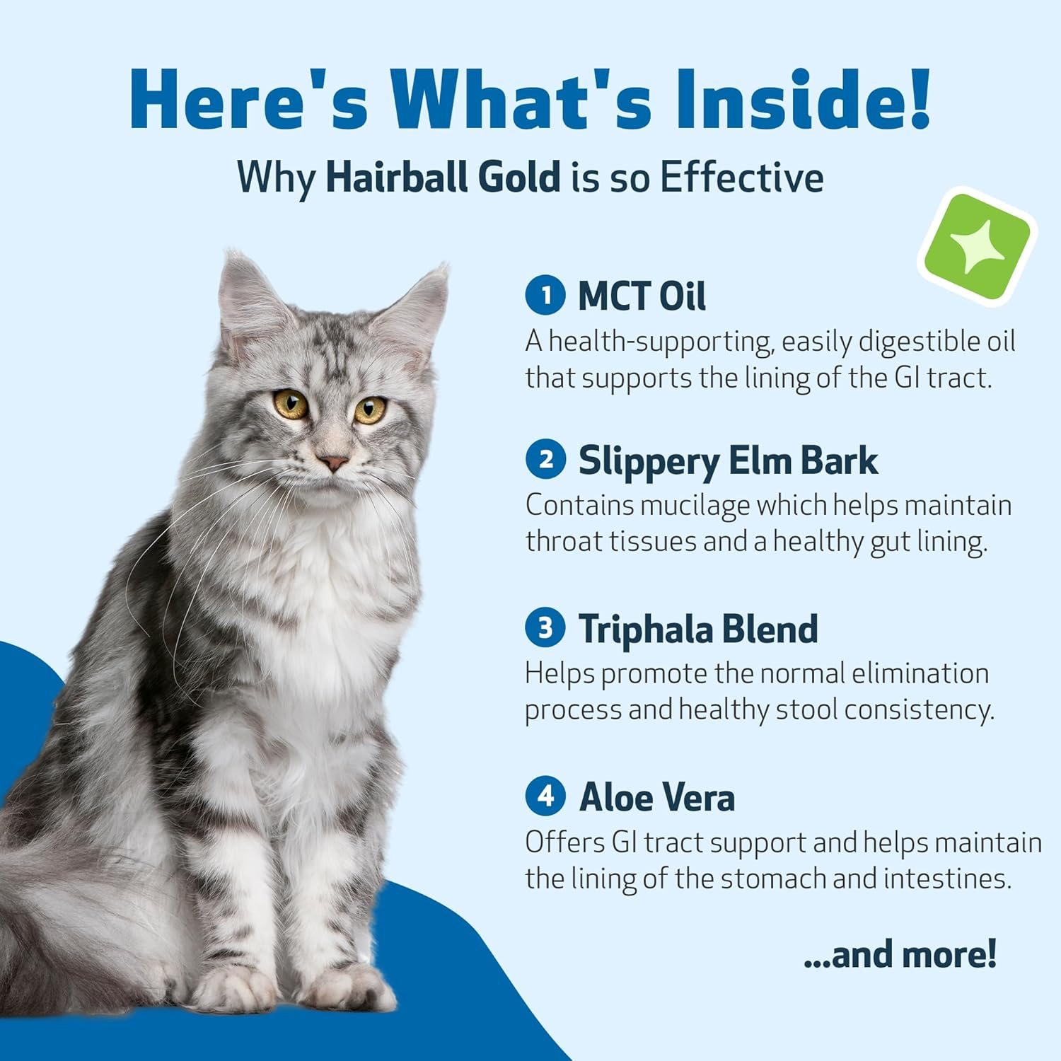 Pet Wellbeing Hairball Gold for Cats - Holistic Hairball and Digestive Care, Normal Elimination, Slippery Elm, MCT Oil, No Mineral Oil - Veterinarian-Formulated Herbal Supplement 2 Oz (59 Ml) image number 5
