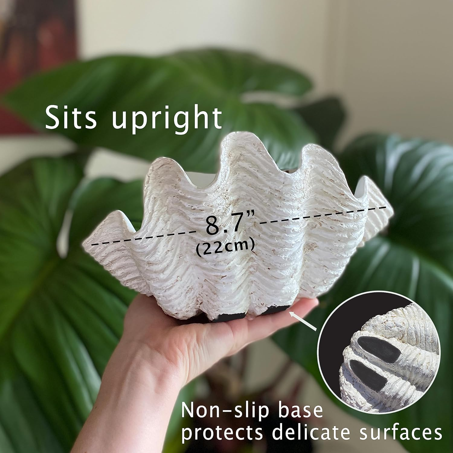 Small Clam Shell Sculpture Replica, 22Cm L X 14Cm W X 11Cm H, Handcrafted White Resin Seashell for Coastal Home D&eacute;cor, or Trinket Dish for Jewelry, or Keys White image number 2