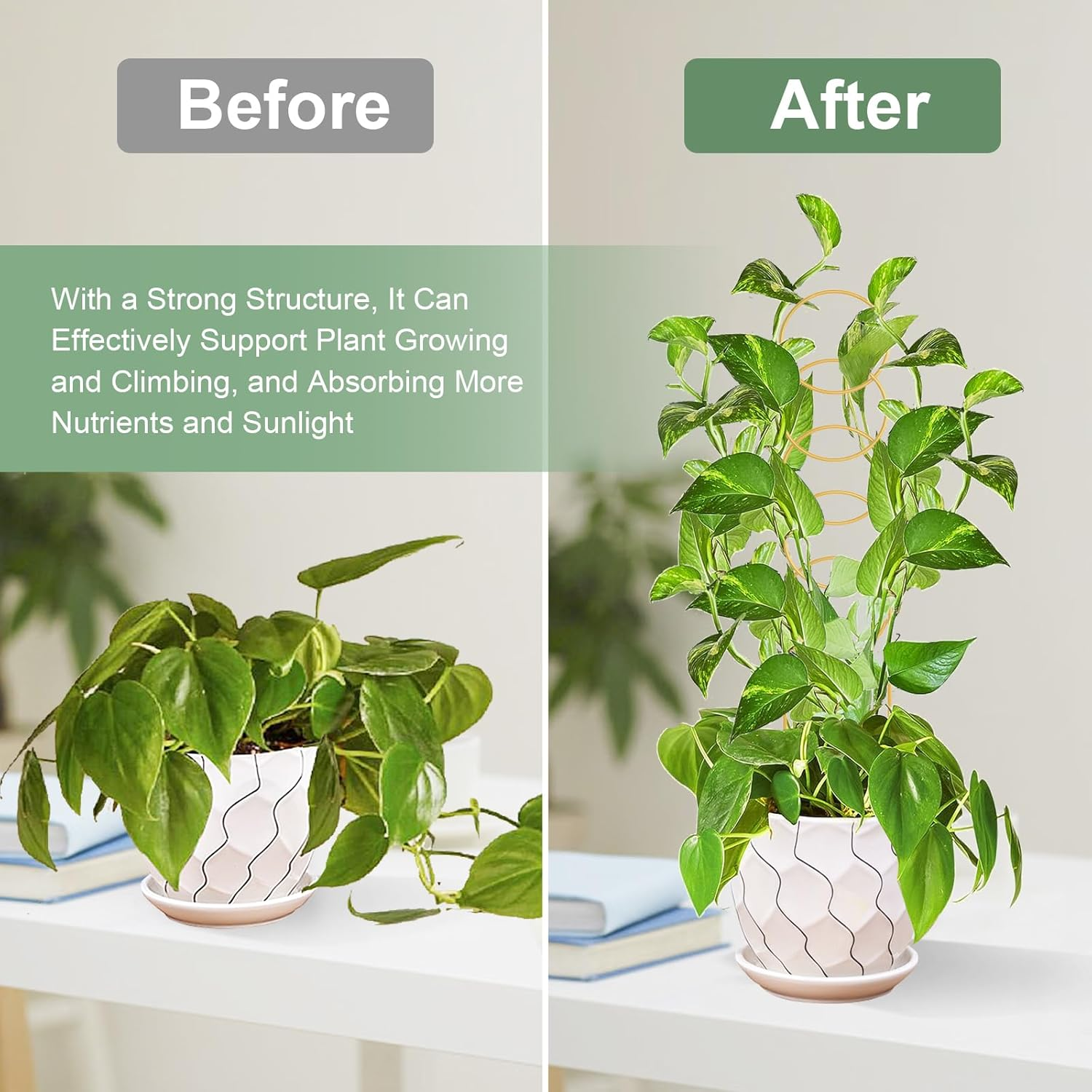 17.5 Inch Indoor Plant Trellis for Climbing Plants,Metal Trellis,Small Garden Trellis for Potted Plants,Plant Stakes for Indoor Plants Accessories Hoya,Flower,Plant Support (Golden-Metal) image number 6