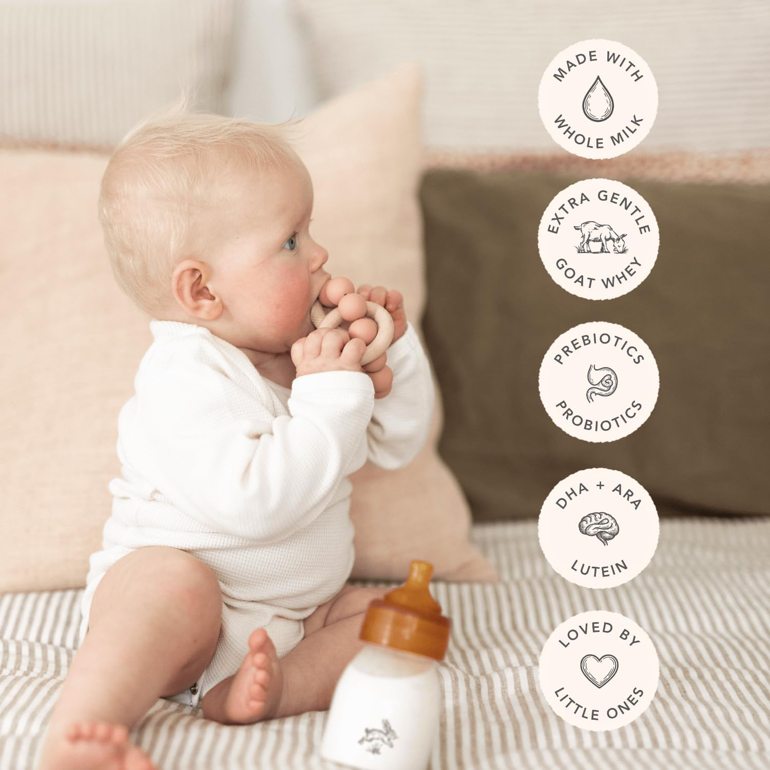 Haven Goat Toddler Milk Drink, Stage 3 (12+ Months), Gentle New Zealand Forage-Fed Goat&rsquo;S Whole Milk, Naturally A2, with Prebiotic, Probiotics & 16 Vitamins and Minerals, Palm Oil Free, GMO Free &ndash; 800G
