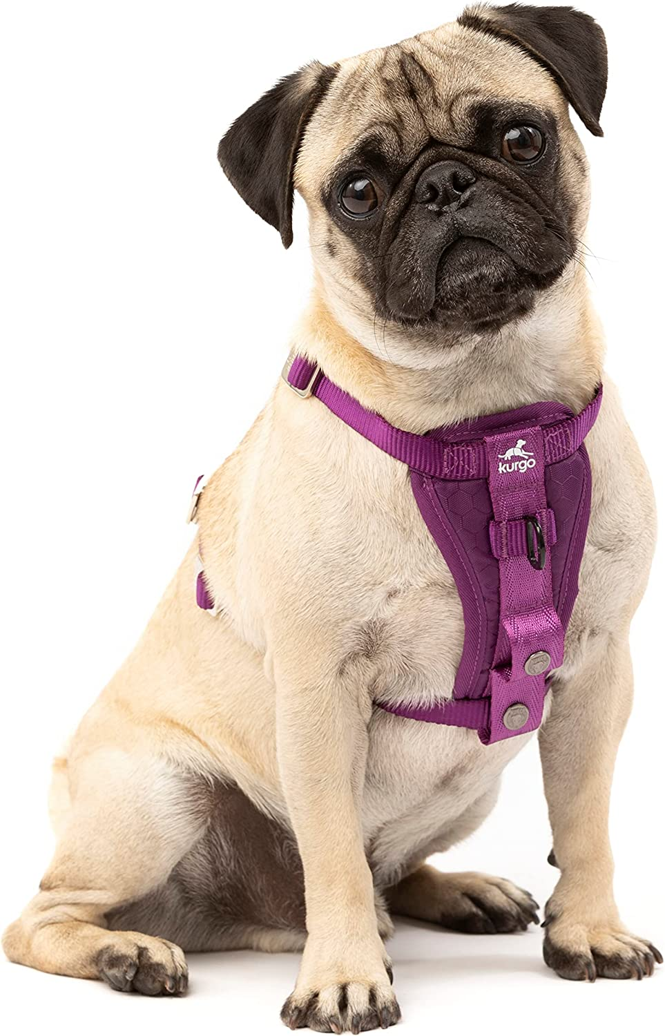 Kurgo Tru-Fit Enhanced Strength Dog Harness - Crash Tested Car Safety Harness for Dogs, No Pull Dog Harness, Includes Pet Safety Seat Belt, Steel Nesting Buckles (Charcoal, X-Small)