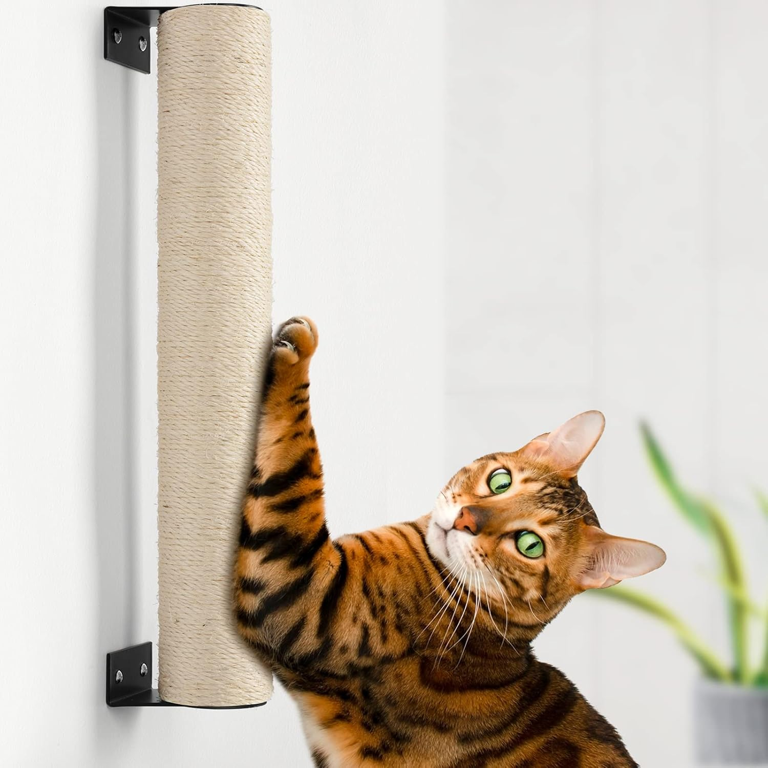 BEBOBLY Wall Mounted Cat Scratching Post for Indoor Cats | Kitten Wall Shelves Climbing Furniture| Sisal Rope Cat Claw Scratcher Tree | Solid Wooden Walkway for Cage Mounted Climbing Relaxing image number 1