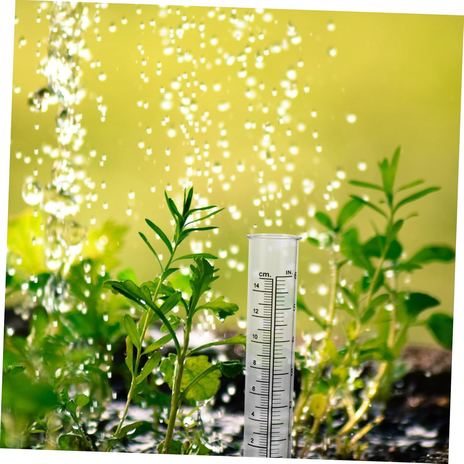 Generic 2Pcs Plastic Rain Measuring Cup Garden Outdoor Reusable Rain Gauge Tool Scale for Weather Station for Home image number 2