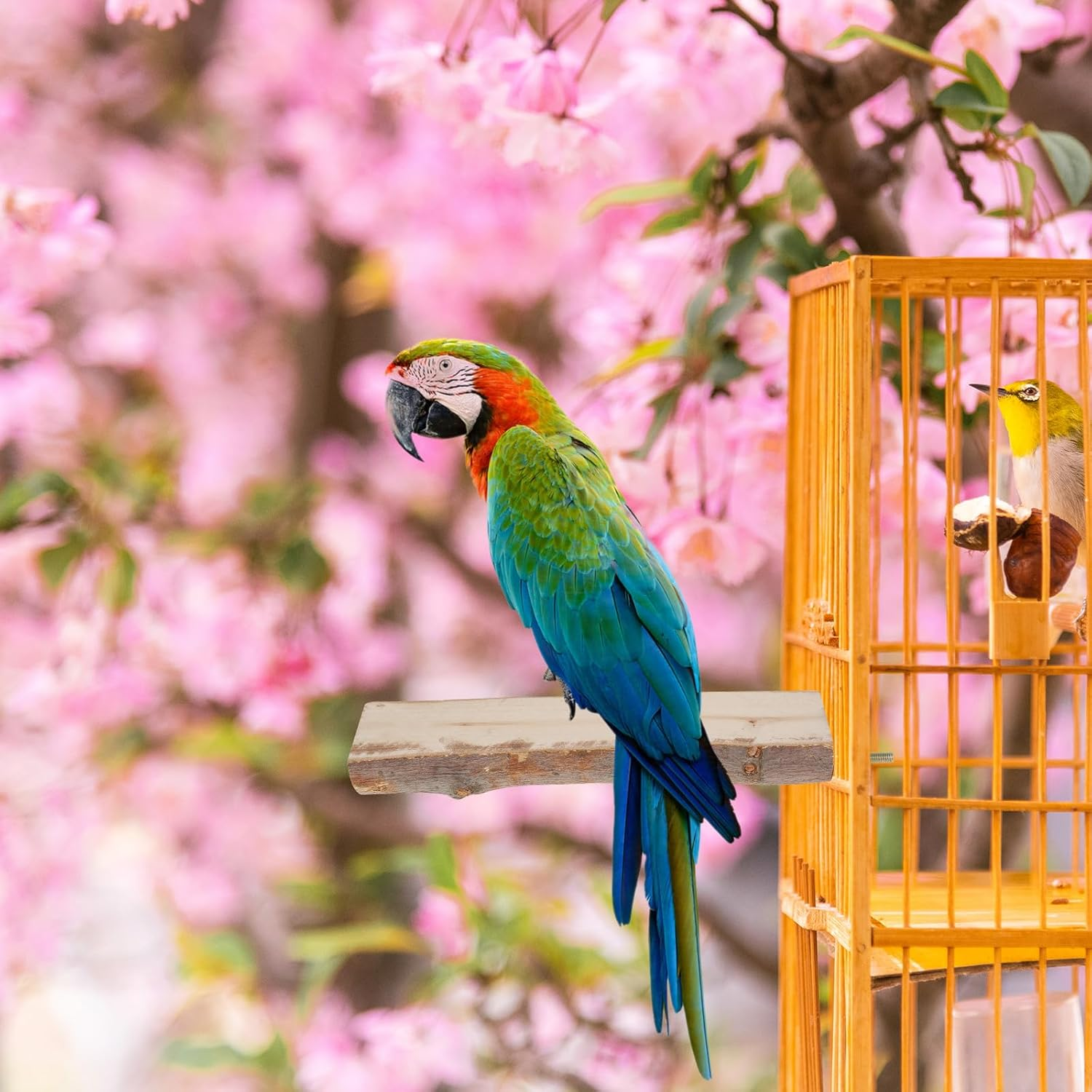 5PCS Bird Perch Stand, Natural Wood Parrot Stand Branch, Multifunctional Parrot Perch Toy Chewing Stick Exercise Training Branches, Practical Bird Cage Accessories for Most Types of Medium Large Birds