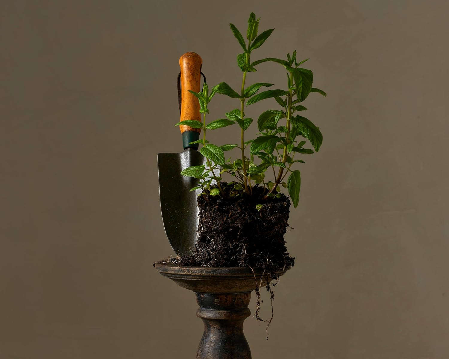 Cowshed Restore Exfoliating Hand Wash for Women 10.14 Oz Hand Wash image number 1