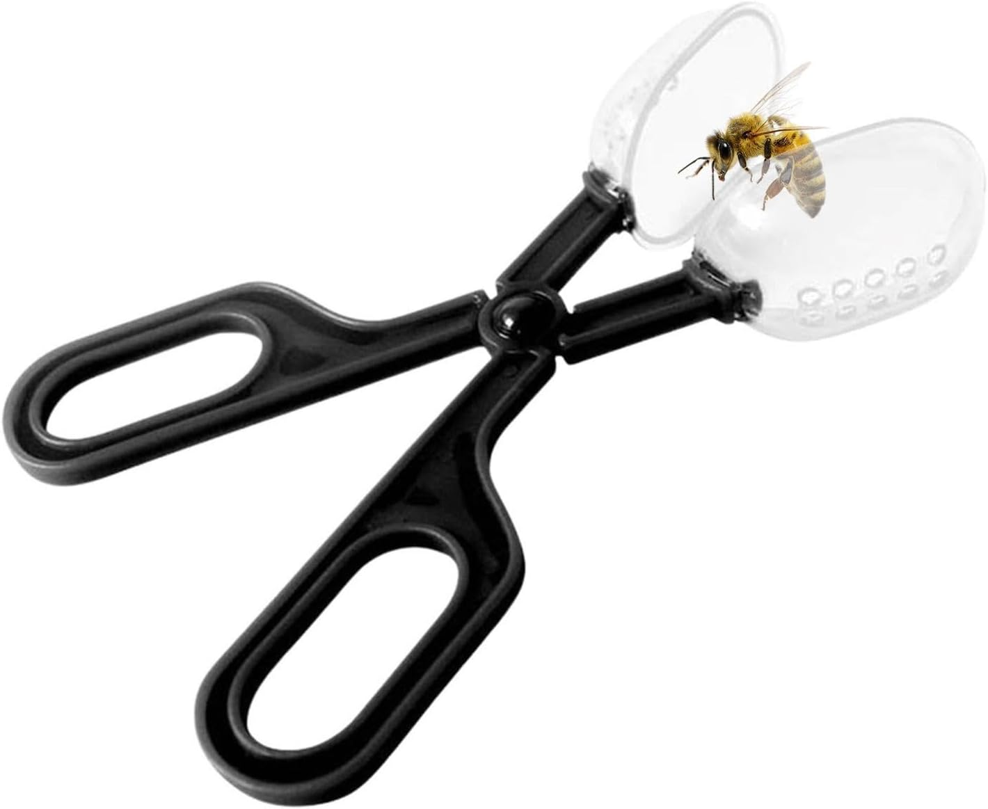 Queen Clips for Bees - Beekeeping Tools Reusable Queen Bee Catcher,Lightweight Beekeeping Supplies Catching Tool for Beginners Professionals image number 1