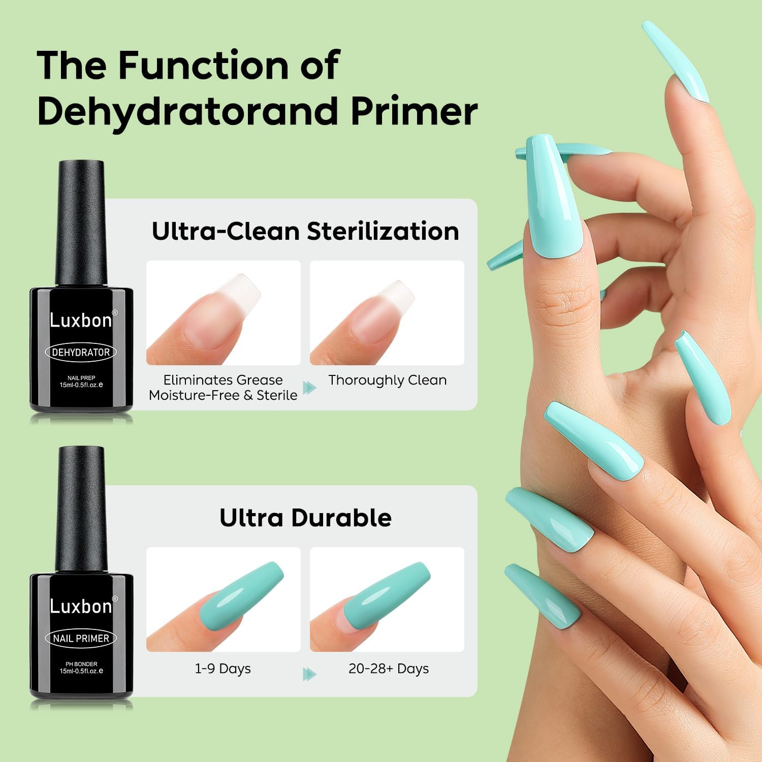 Luxbon 2 Pcs 15Ml Nail Primer & Nail Dehydrator Set - Long Lasting, Shine Finish, UV LED Nail Lamp Soak off Gel Nail Prep Set Manicure - Bt15Ml image number 7