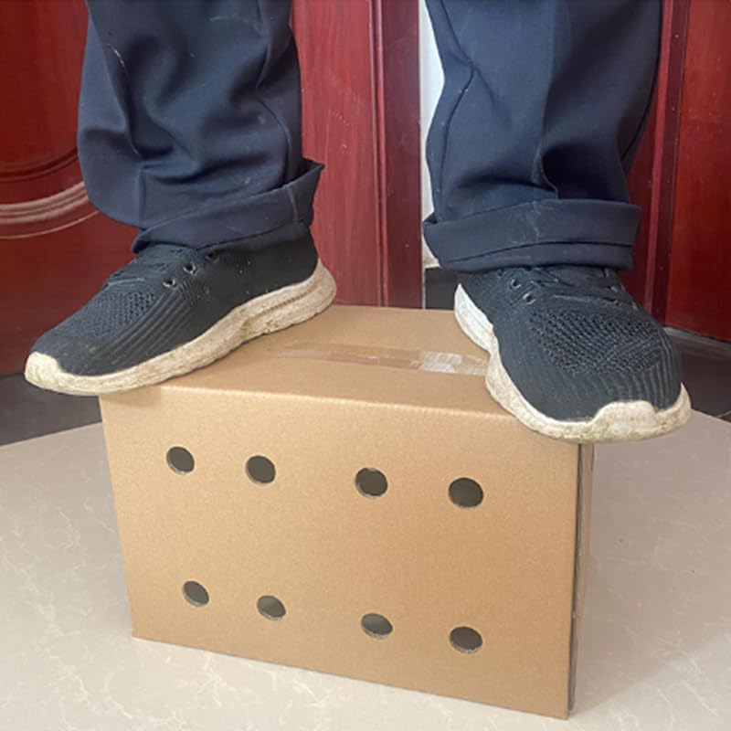 AIMALL 10PCS Cardboard Pet Carriers in 3 Sizes: Sturdy, Safe Disposable Travel Boxes for Small Animals with Ventilation, Easy Assembly, & Built-In Handles image number 4