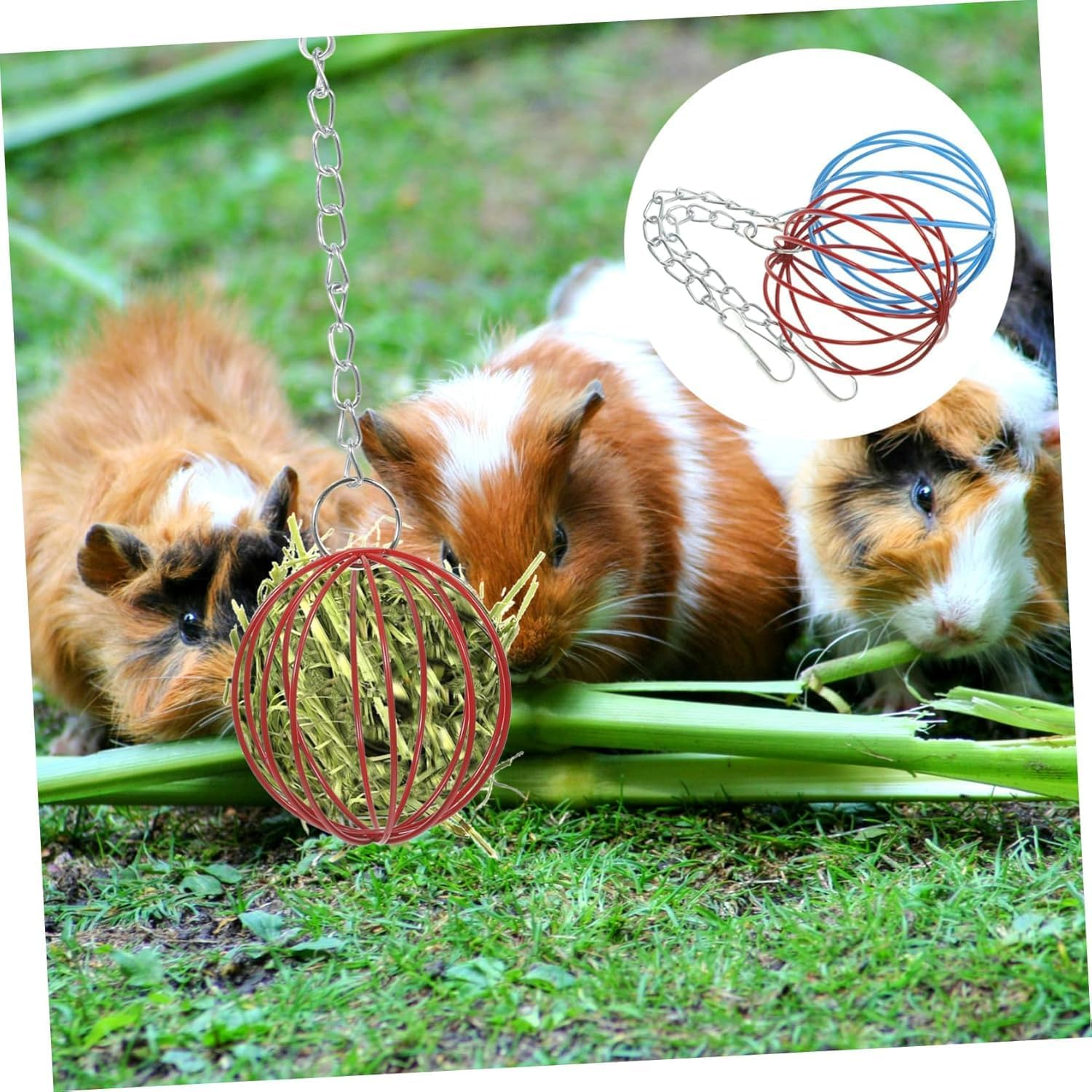 Stainless Steel Rabbit Hay Feeder Ball, 2-Pack, 6Cm, 6Cl, Interactive Toy, Portion Control image number 2
