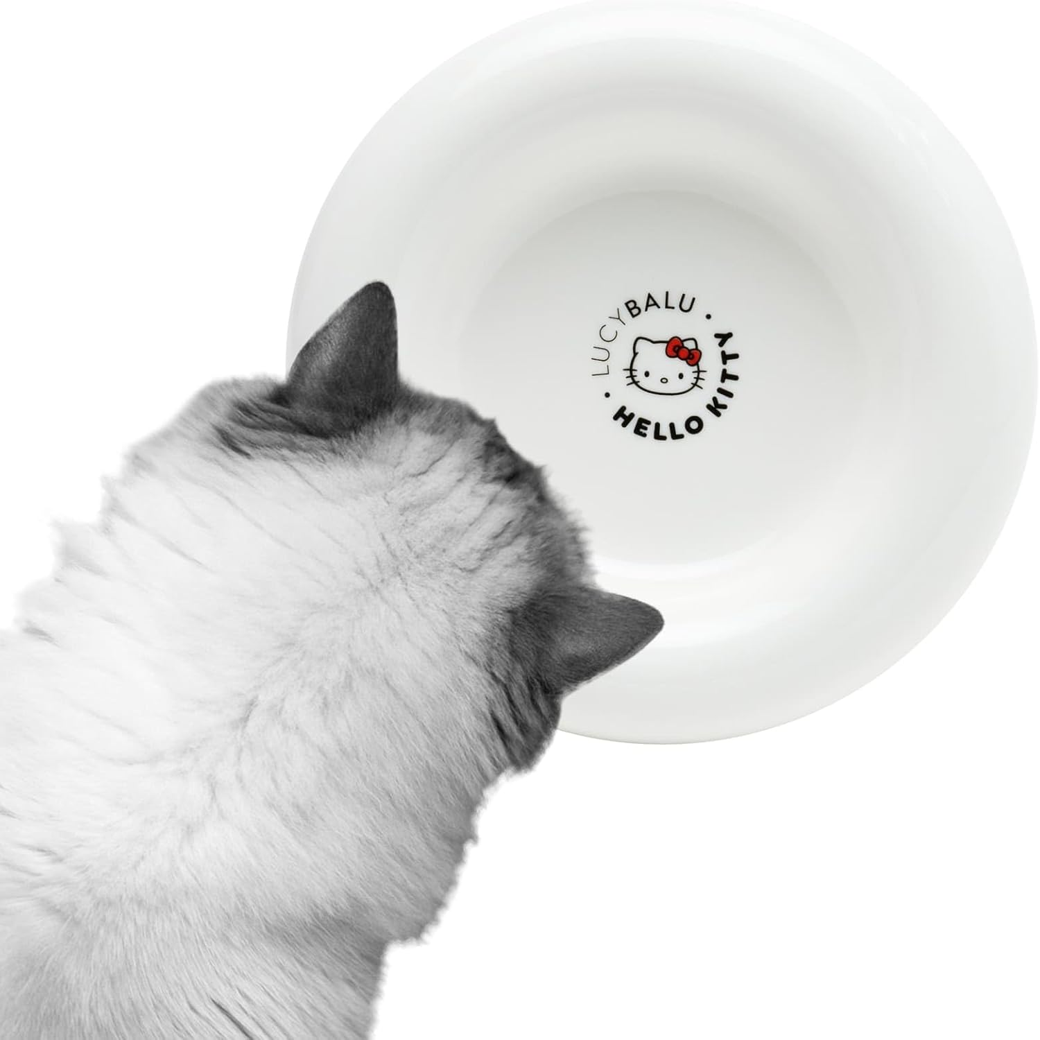 Lucybalu X Hello Kitty Drop Porcelain Cat Bowl: Raised Cat Feeding Bowl & Water Bowl for Cats - Porcelain, White image number 6