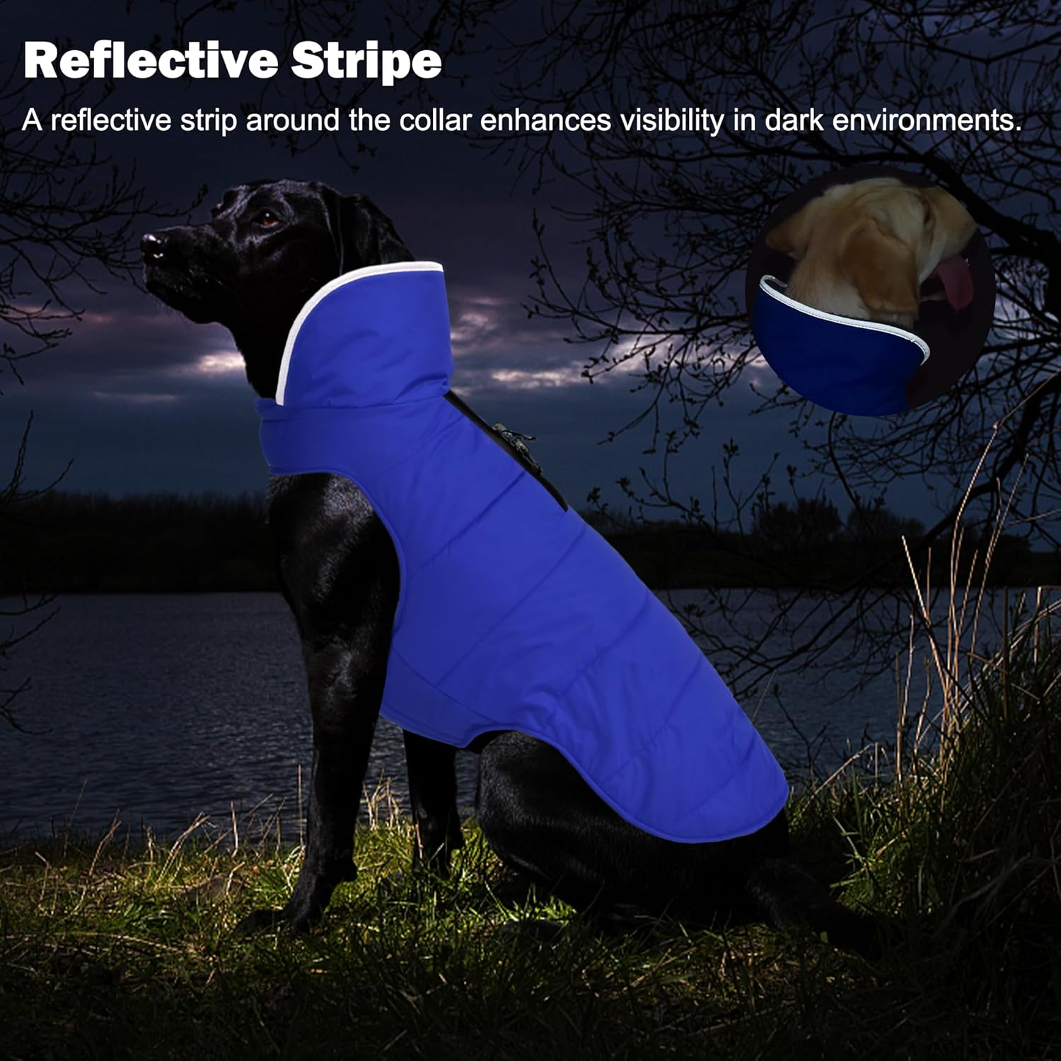 Petglad Dog Winter Coat, Waterproof Dog Jacket with Leash Hole, Reflective Warm Dog Snow Jacket Windproof Fleece Vest, Dog Clothes Outfits for Small Medium Large Dogs - Blue, M image number 4