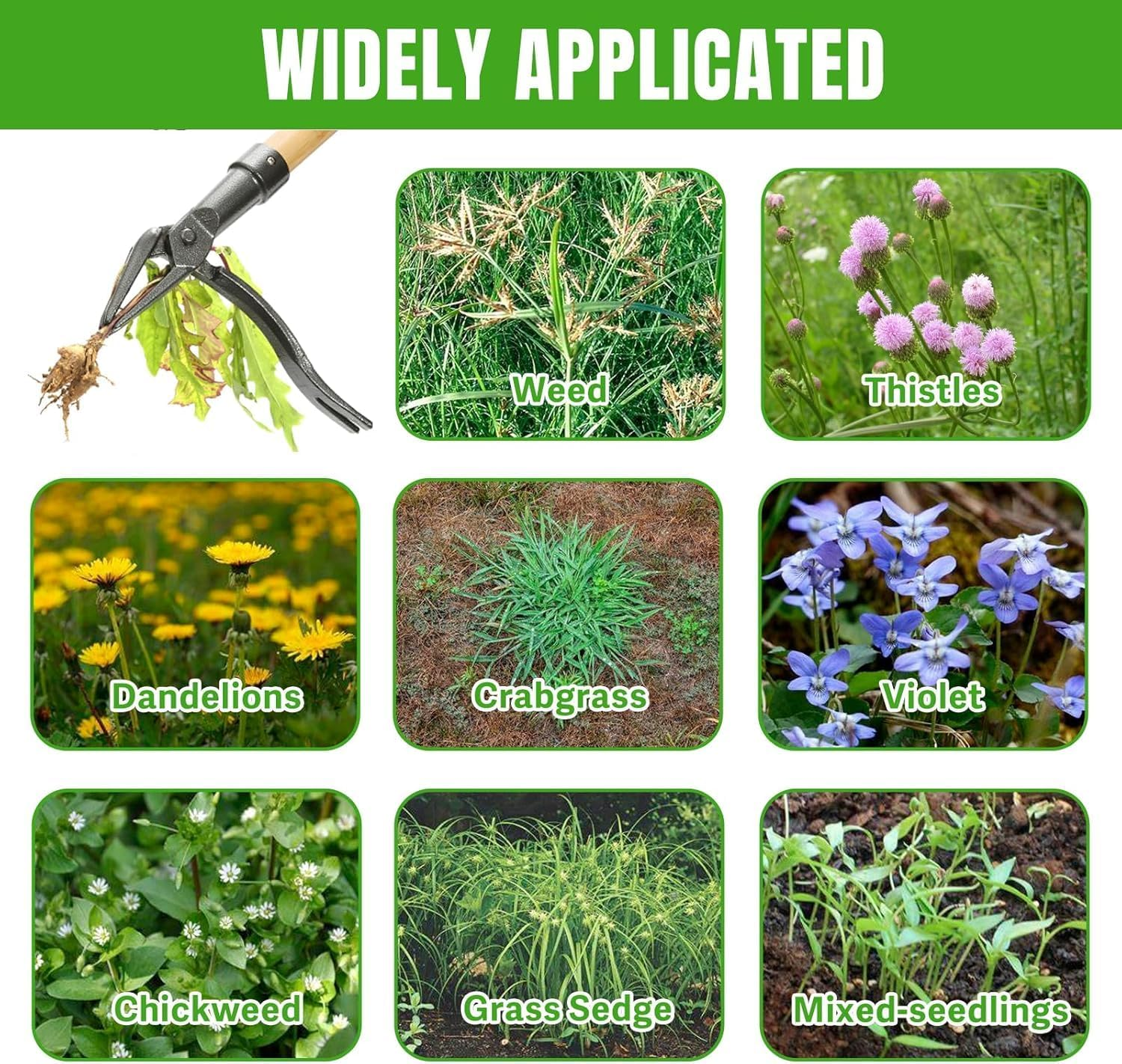 Stand up Weed Puller Tool with 48" Handle - Dandelion & Weed Remover for Garden - Ergonomic Root Puller - Back Saving Gardening Tool for Lawns & Yards image number 2