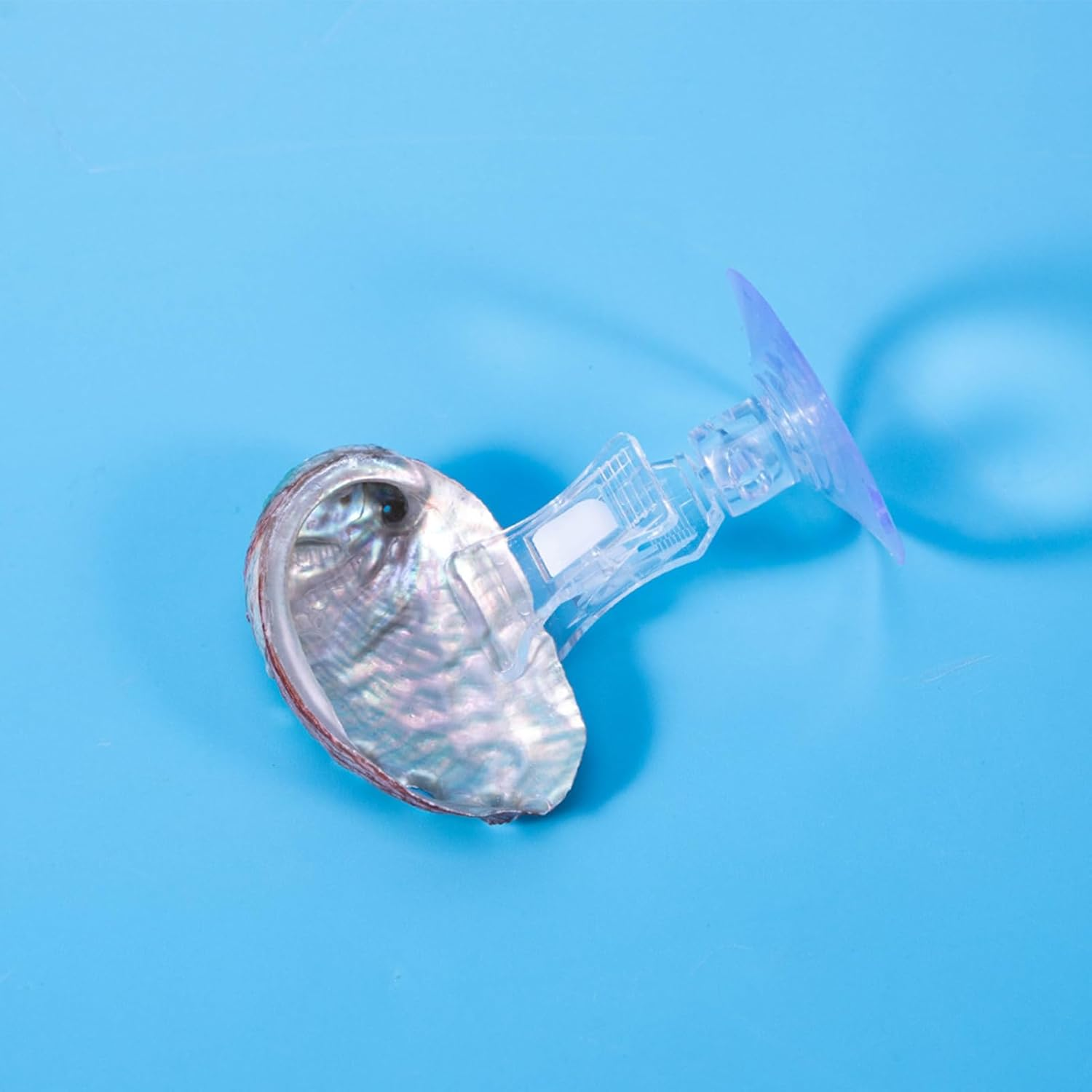 Glugahrif Betta Hammock, Betta Fish Hammock, Aquarium Suction Bed | Resting Hidden Place Betta Hammock for Enrichment Fish Tank from Hiding Place and Games for Pets image number 1