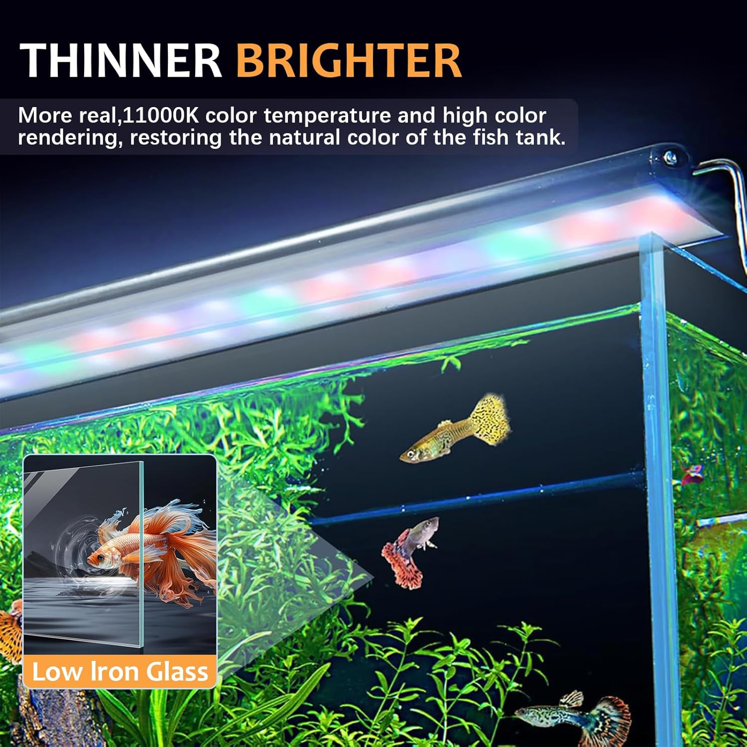 LIODUX Fish Tank Kit, Glass Aquarium Starter Kits with Partitioned Filtration, Fish Bowls Starter Kits, Beginner-Friendly Betta Aquarium, Room Desktop Decor (60 X 23 X 30CM) image number 4