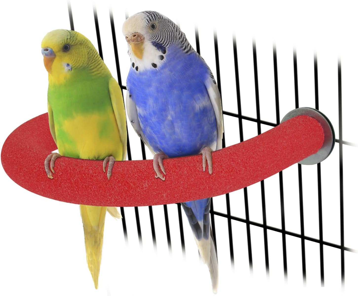 RYPET Parrot Perch Rough-Surfaced - Quartz Sands Bird Cage Perches for Medium to Large Bird, U Shape Large