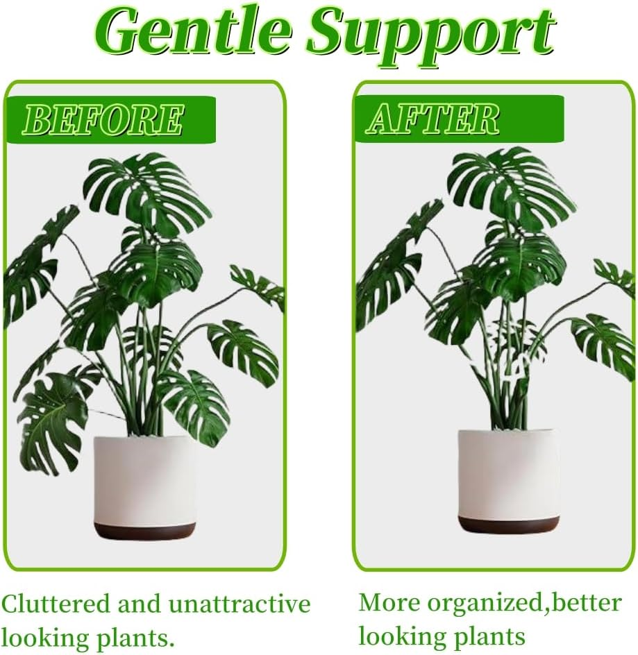 2Pcs Monstera Grapple,Monstera Leaf Plant Support,Turtle Shell Bamboo Clamp Set,Unique and Aesthetic Monstera Plant Support Ring,Plant Stakes, Keeps Plants Tame and Growing Vertical (B) image number 6