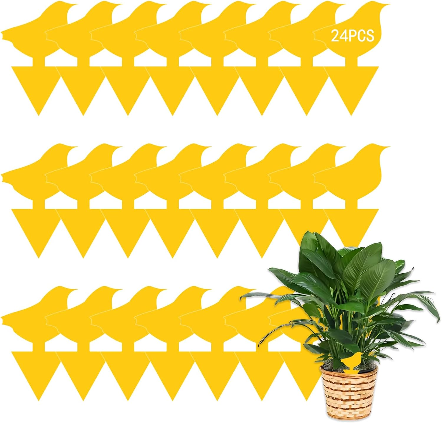 24 Pack Sticky Fruit Fly Fungus Gnat Traps Killer, Dual-Sided Mosquito Fly Gnat Sticky Trap, Insect Catcher for Mosquitoes, Flies, Pests & Bugs, Fruit Fly Traps for Plants, Vegetables, Fruits, Garden image number 2