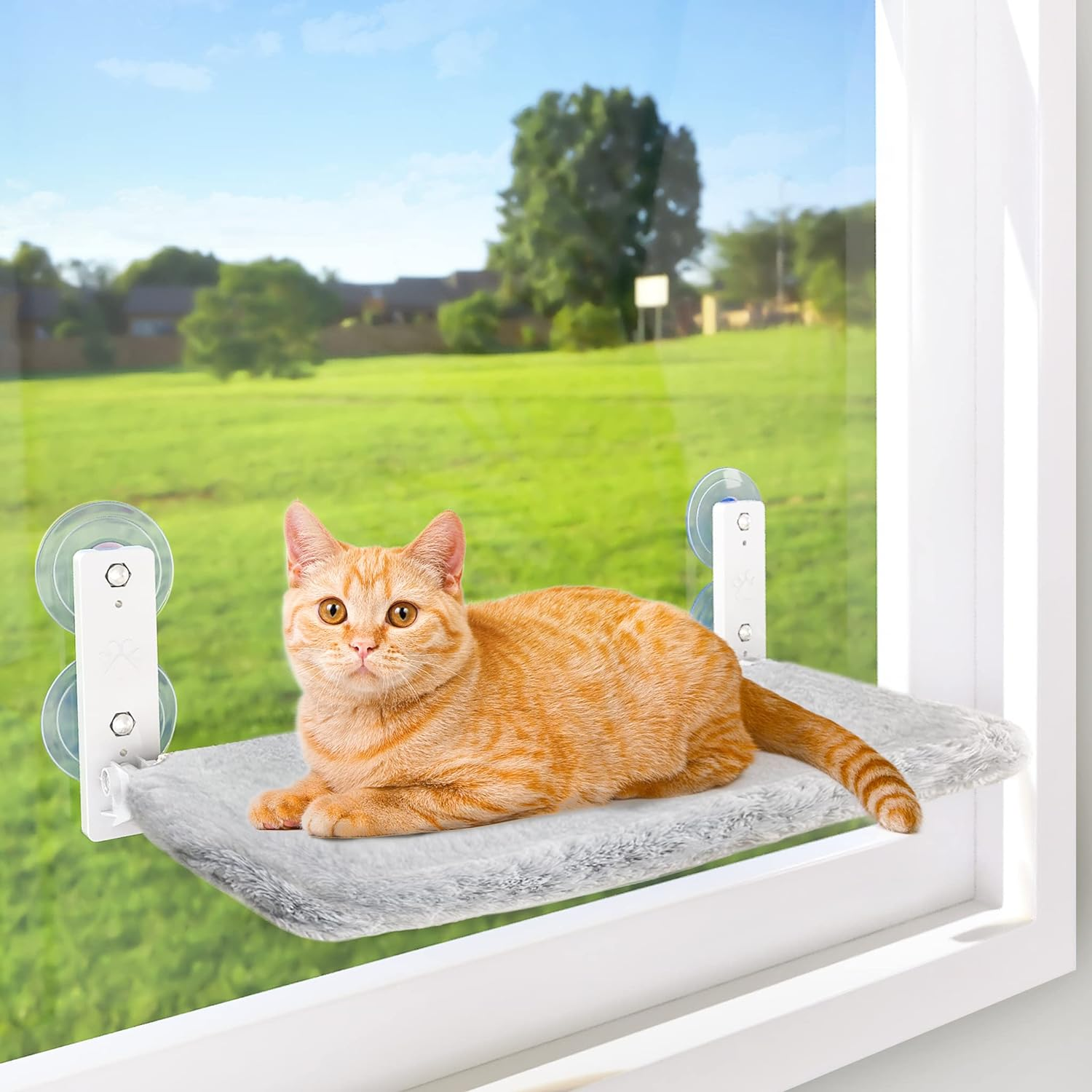 AMOSIJOY Cordless Window Perch Cat Hammock, Large Window Beds with 4 Suction Cups & Solid Metal Frame, Foldable Seat for Indoor Cats (Medium) image number 1