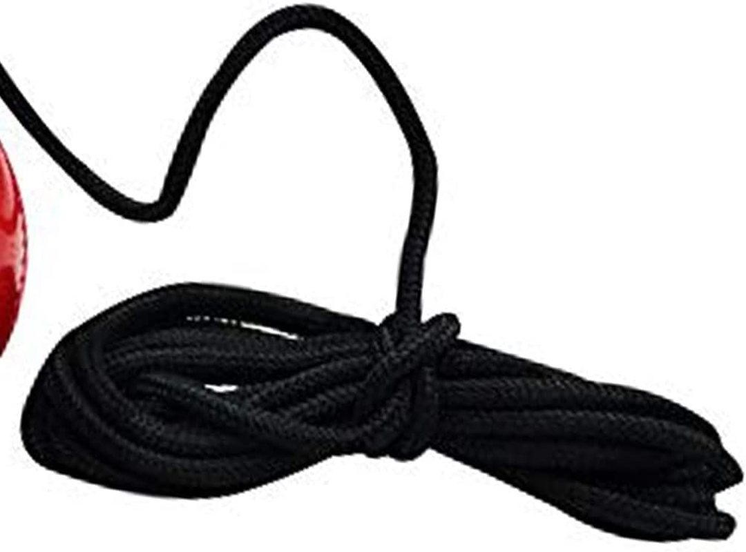 DSC Hanging Synthetic Cricket Ball (Red)