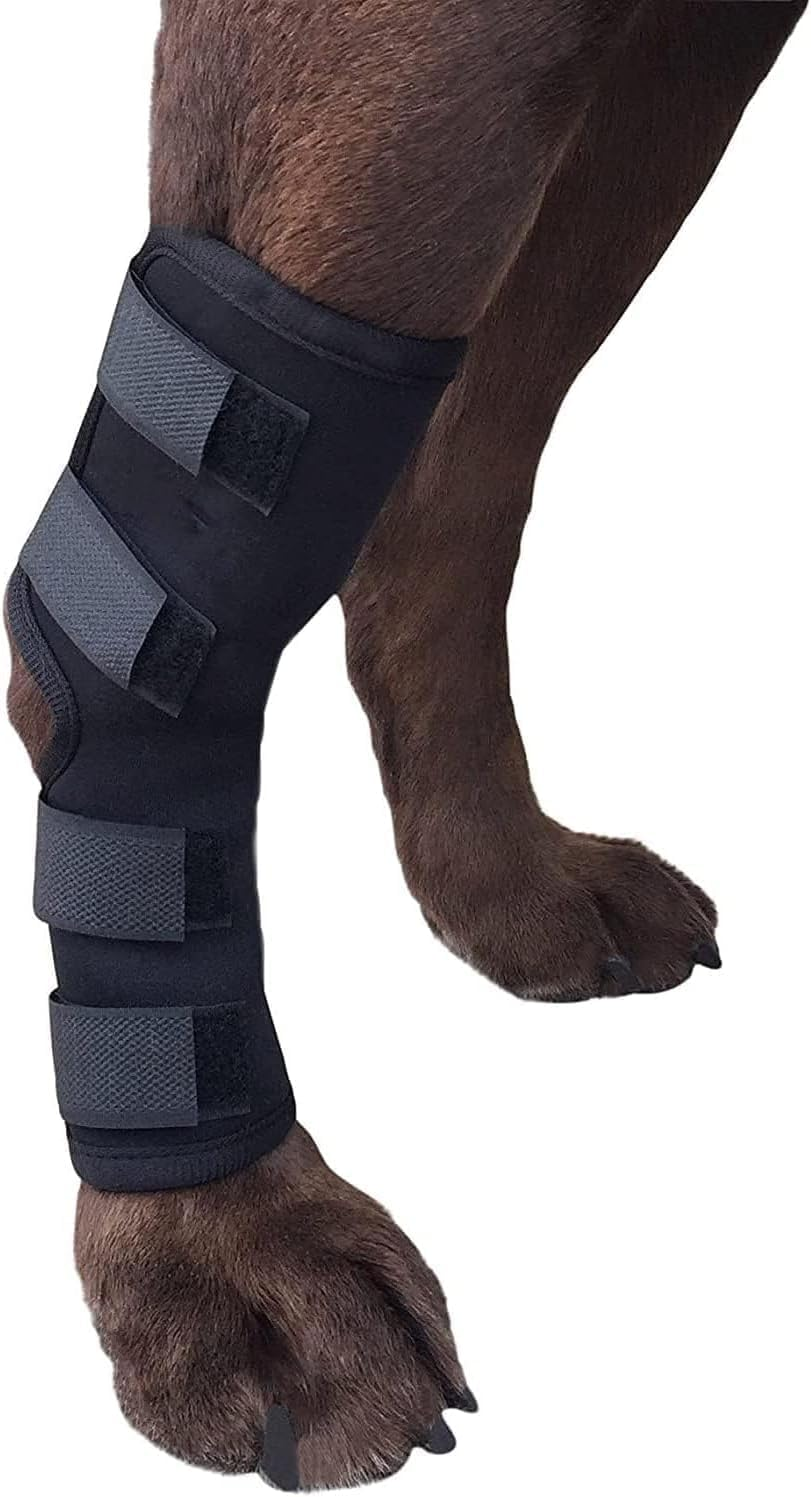 ZUJIACUN Dog Injury Prevention Rear Ankle Support with Knee Support for Dogs, Adjustable Pet Leg Support Compression Pack Recovery Dog Support Protects Leg Wound Injuries for Pain Relief (L) image number 1