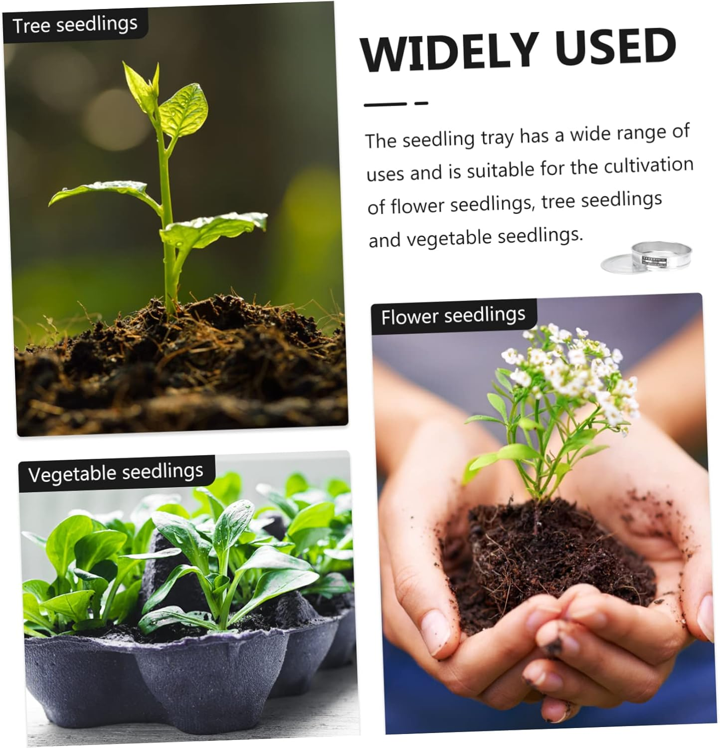 Stainless Steel Germination Tray with Lid Plant Nursery Tray for Seed Propagation and Microgreens Growing for Indoor and Outdoor Gardening image number 3