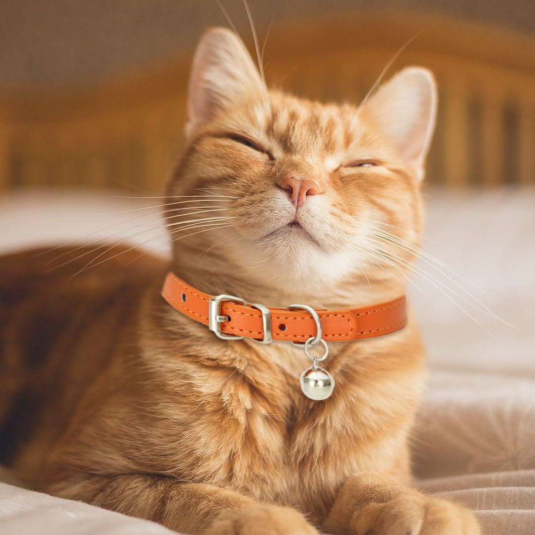 2 Pieces Padded Leather Dog Collar, Breathable, Durable Leather Dog Collar with Adjustable Rustproof Metal Buckle for Small, Leather, Simple, Robust image number 5