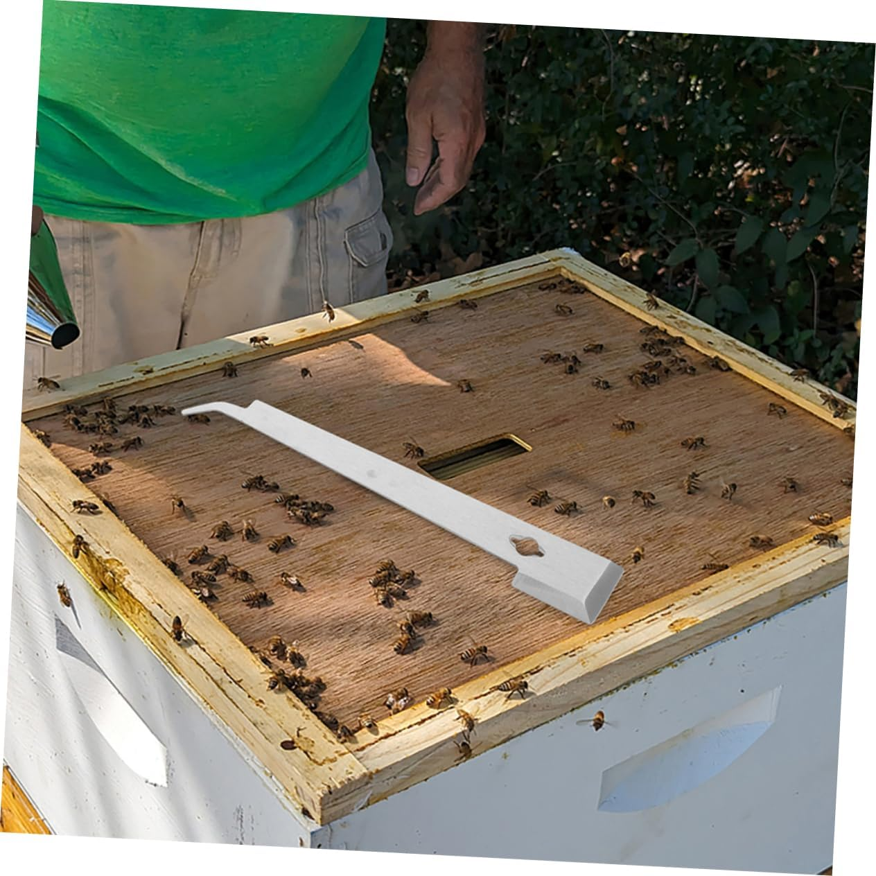 HANABASS 2Pcs Stainless Steel Beehive Scraper for Beekeeping Hive Tool Beehive Box Scrapers image number 2