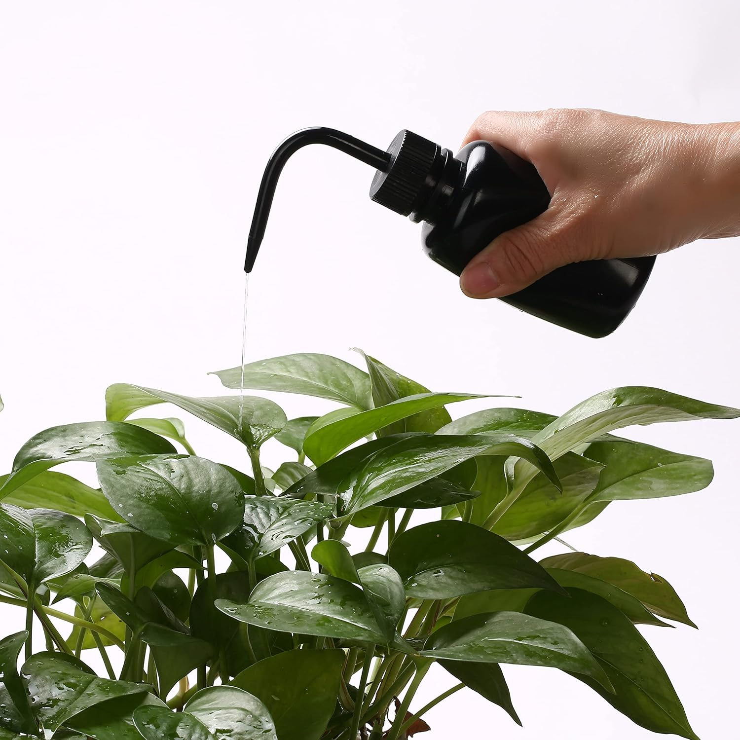 2Pcs Tattoo Wash Bottle 150Ml | 5Oz Water Squirt for Succulent Watering, Safety Rinse, Medical Cleaning - Black image number 5