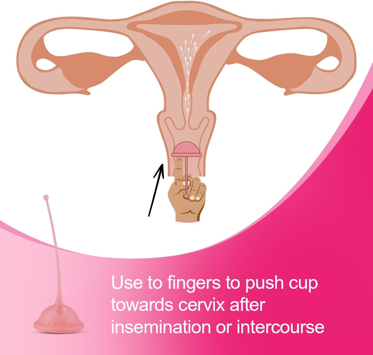 Cervix Sperm Cup,Pink image number 6