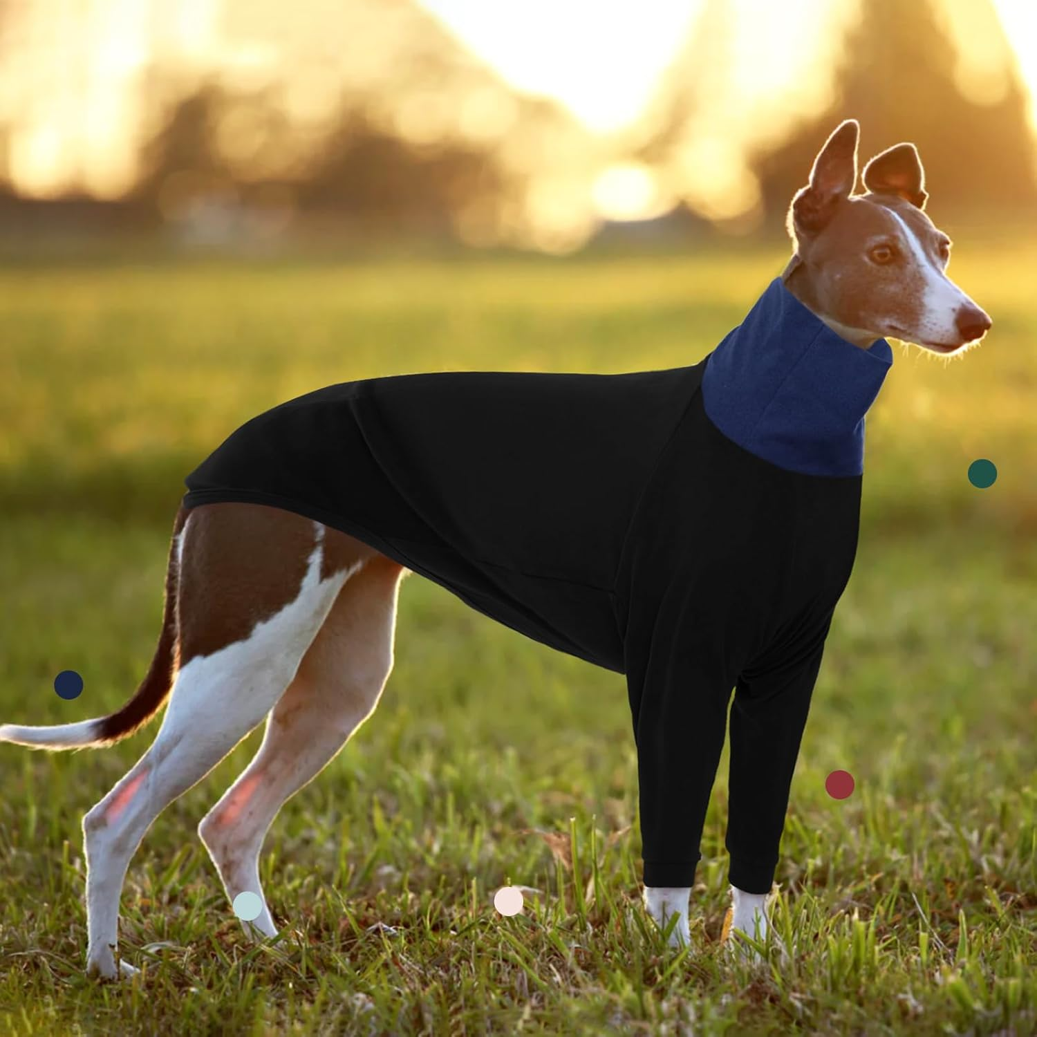 Iecoii Greyhound Sweater for Dogs, Dog Turtleneck Sweater Saluki Lurcher Coat, Warm Whippet Fleece Sweatshirt Fall Winter Outfit, Italian Greyhound Pajamas Pullover Dog Winter Clothes, Xx-Large image number 1