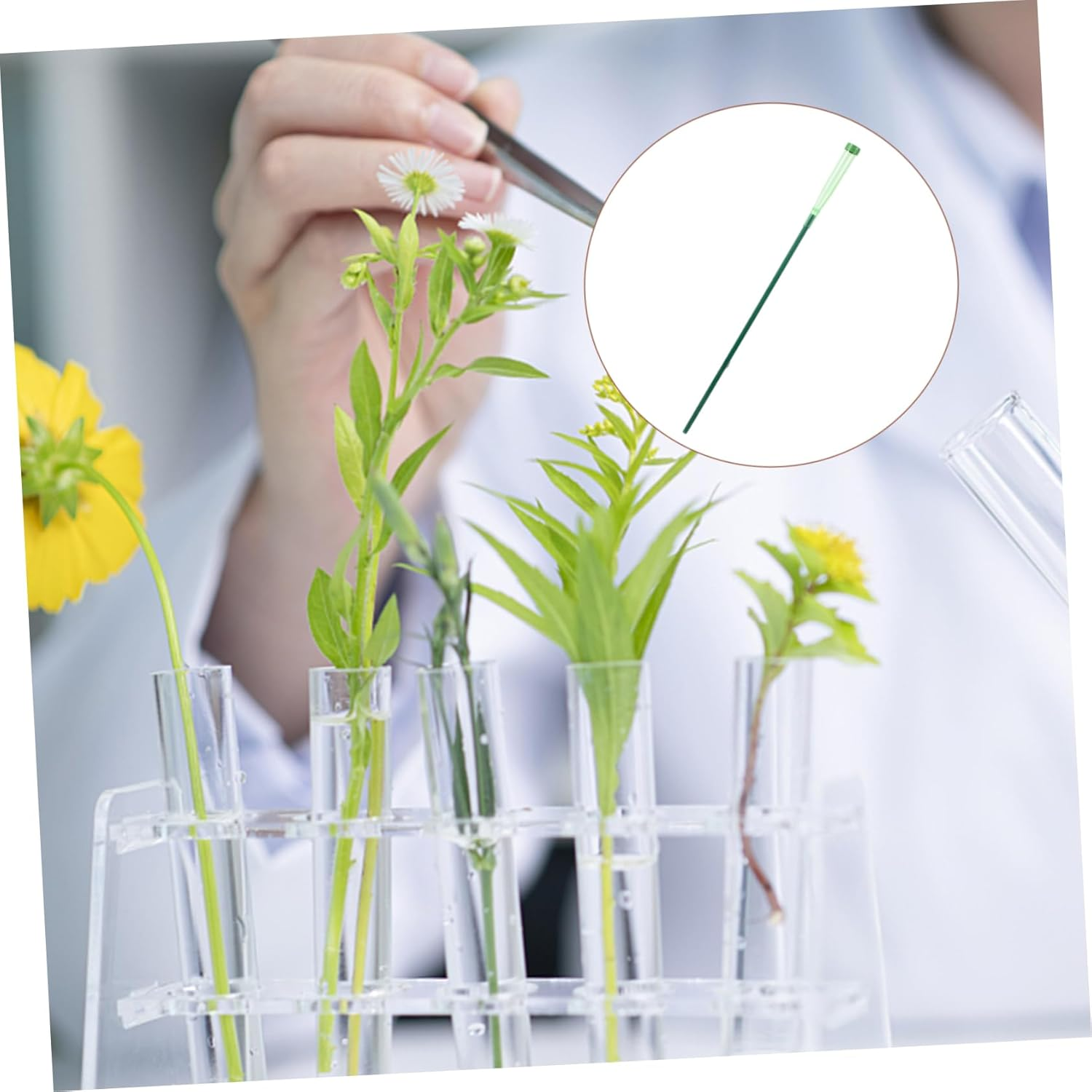 TINEASUR 5Sets Florist Flower Water Tubes Plastic Nutrition Vials DIY Flower Arrangement Extend Freshness Essential Supply image number 4