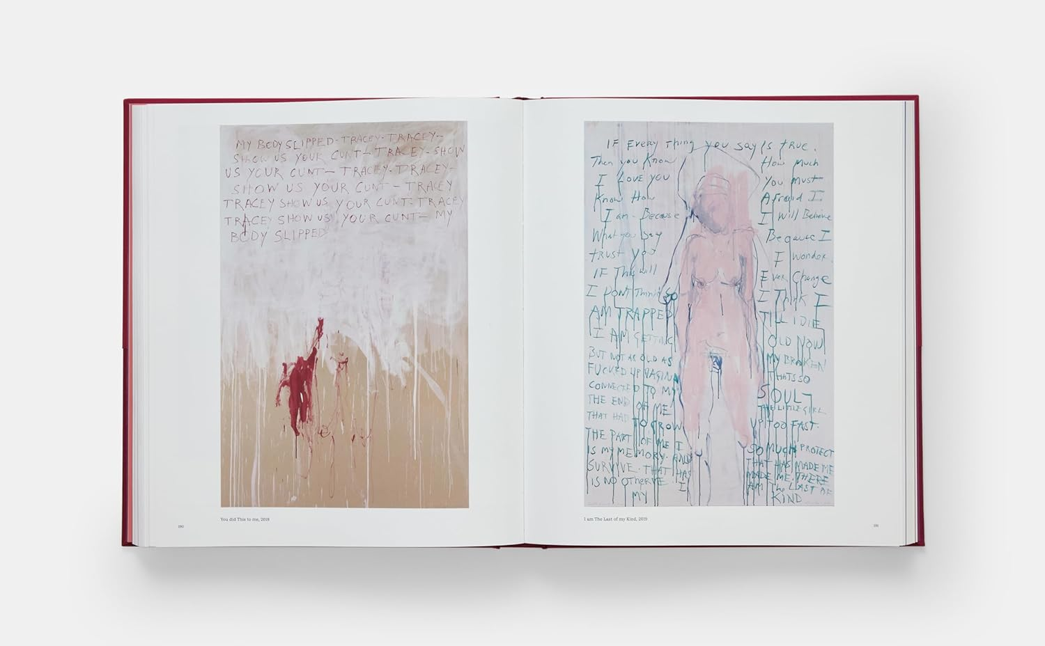 Tracey Emin Paintings image number 2