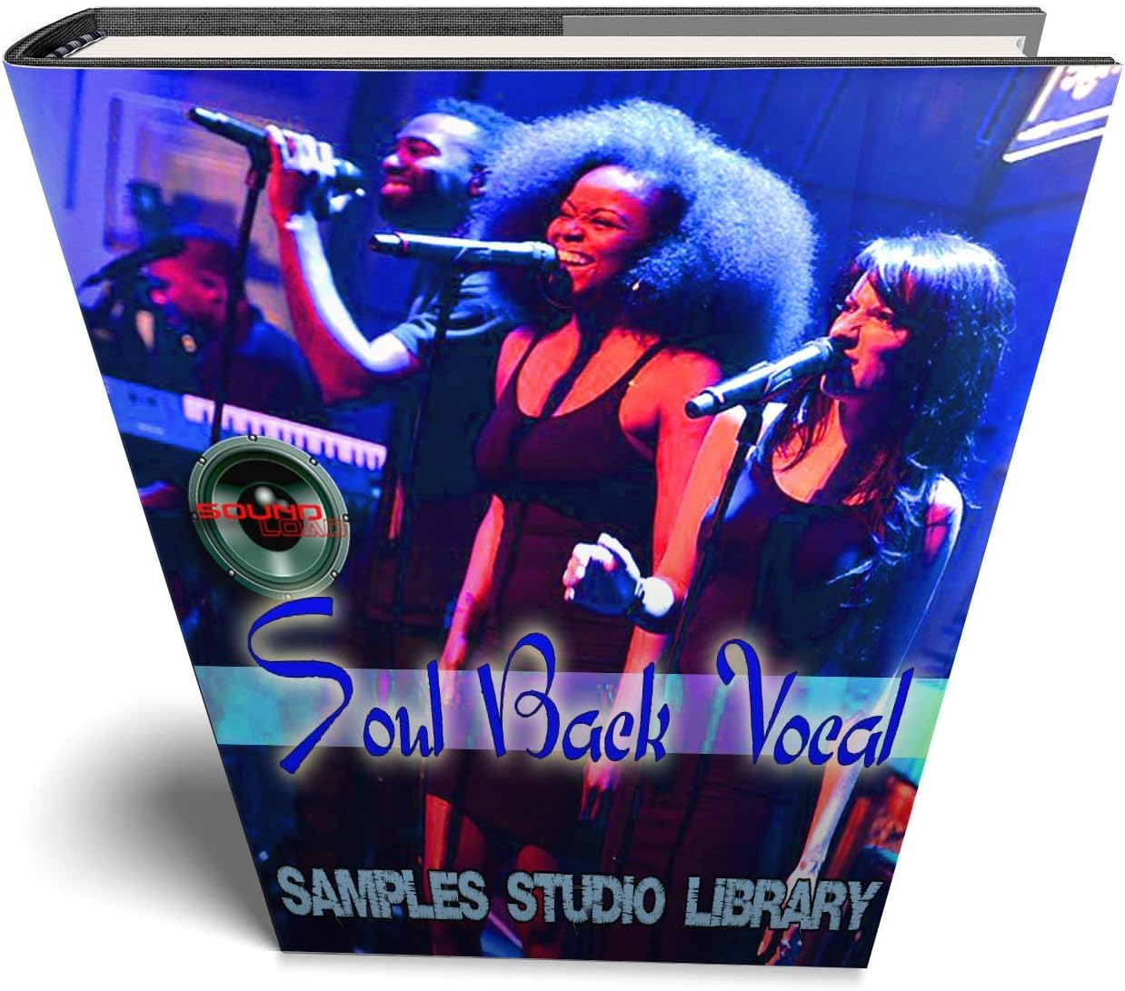 Hip-Hop Back Vocal - HUGE 24 Bit Waves Samples Production Library 10 000!!! Object on DVD image number 3