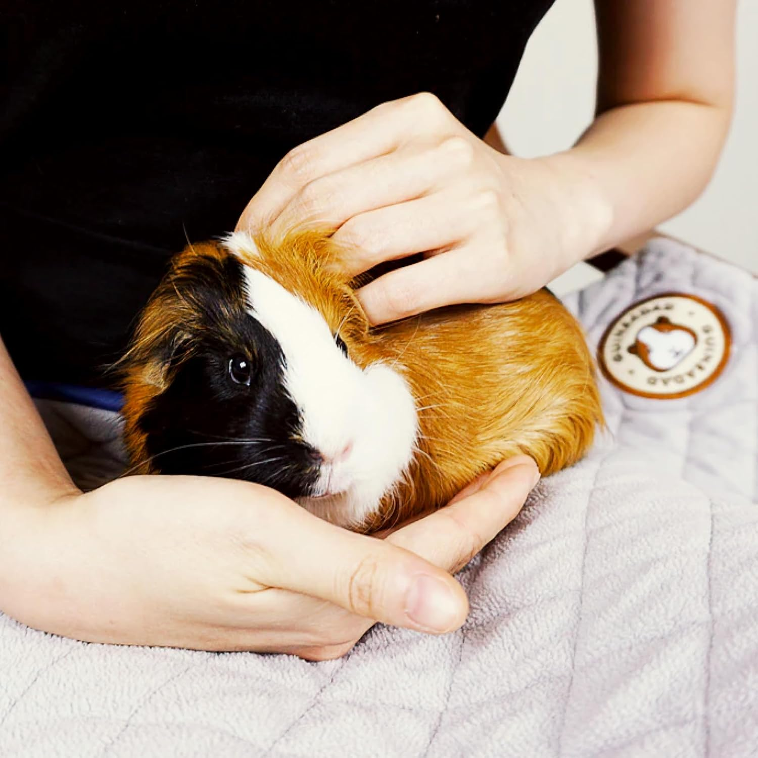 Guineadad Original Liner - Grey Fleece Guinea Pig Bedding - Reusable Guinea Pig Cage Liner - Extra Absorbent with Waterproof Bottom - Small Pet Supplies - 2X4 C&C image number 3