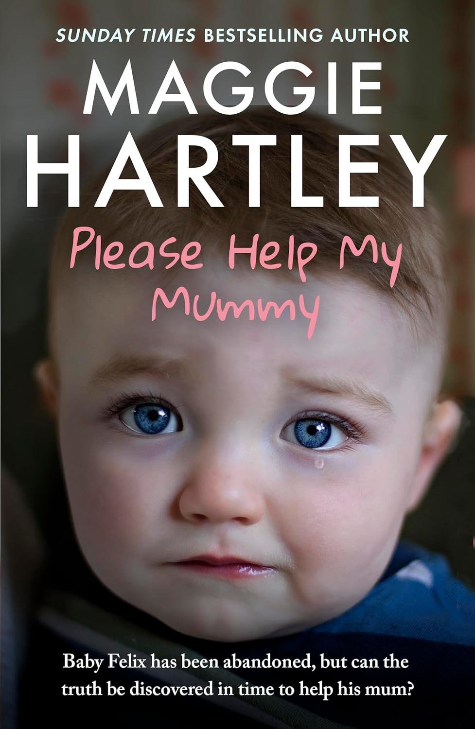 Please Help My Mummy: Baby Felix Has Been Abandoned, but Can the Truth Be Discovered in Time to Help His Mum?