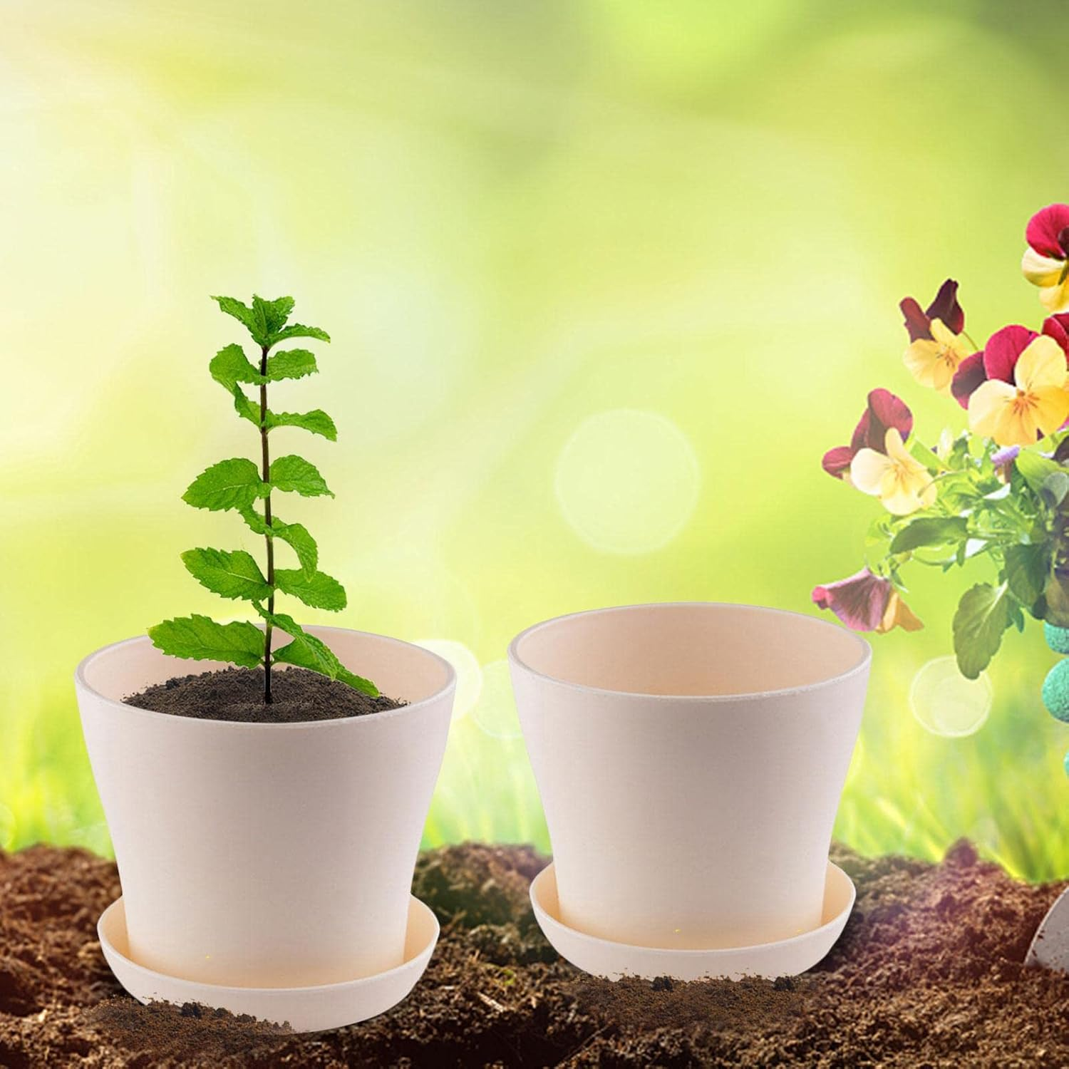 Mini Bonsai Herbs Growing Kit, Indoor Herb Plant Planting Kit, Novice Gardening Growth Kit, Indoor Plant Growing Starter Kit, DIY Kitchen Grow Kit for Women & Men