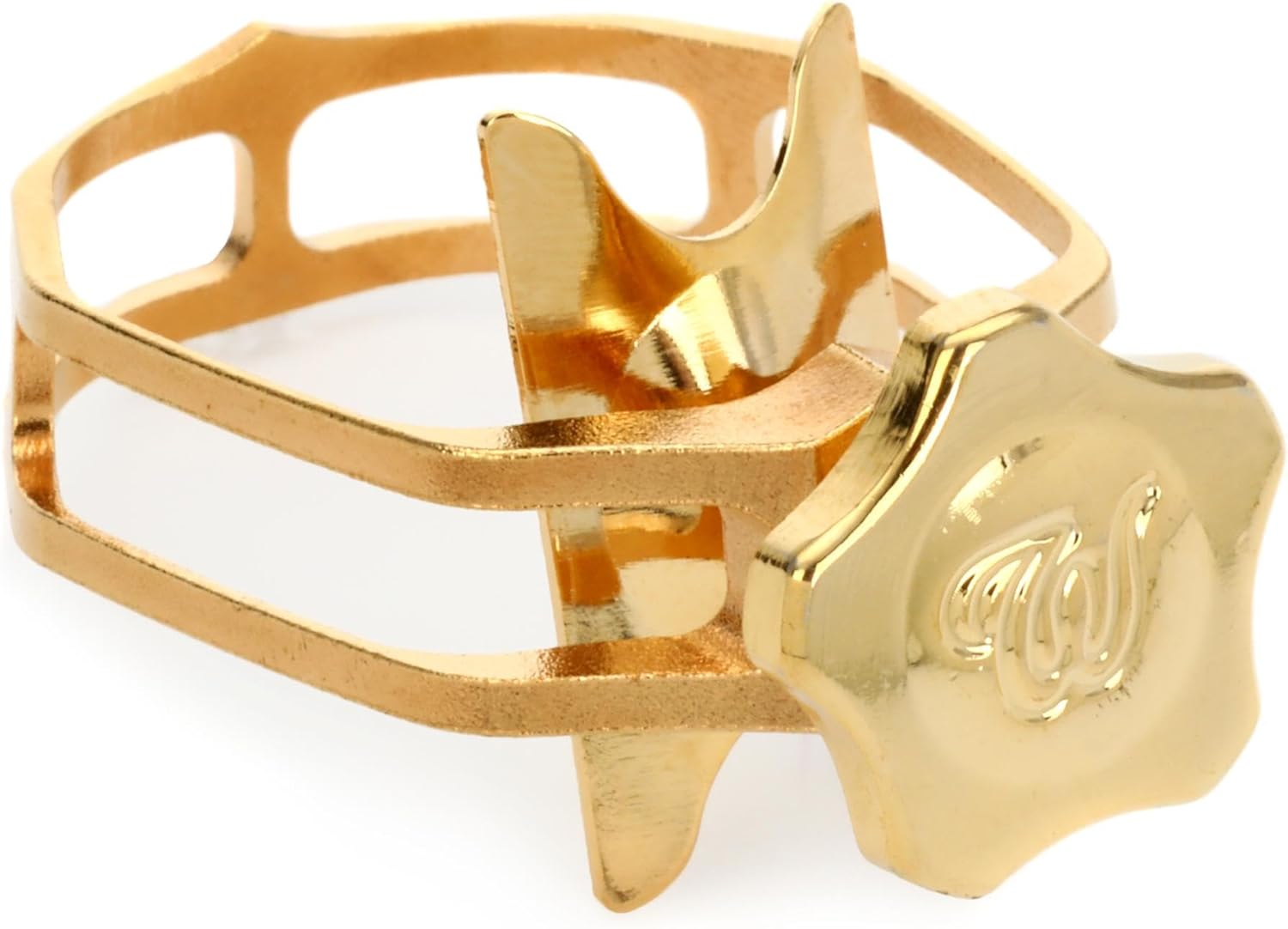 Theo Wanne Enlightened Ligature Alto Extra Large