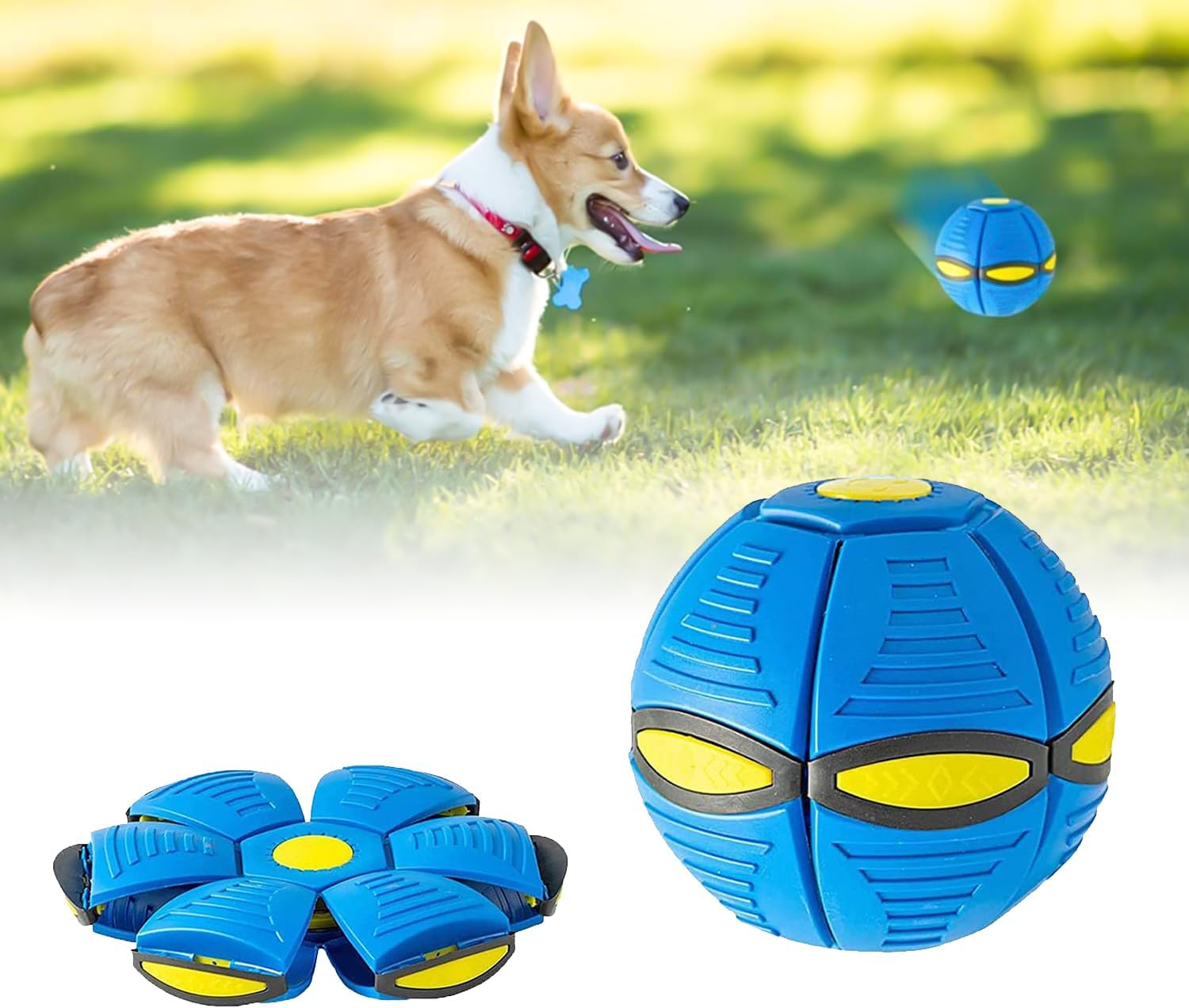 Pet Toy Frisbee Ball, Flying Saucer Ball Toy for Dogs, Flying Ball for Dogs, Pet Toy Frisbee Ball Dog, Flying Ball, Premium Dog Ball for Throwing, Catching, Playing image number 3