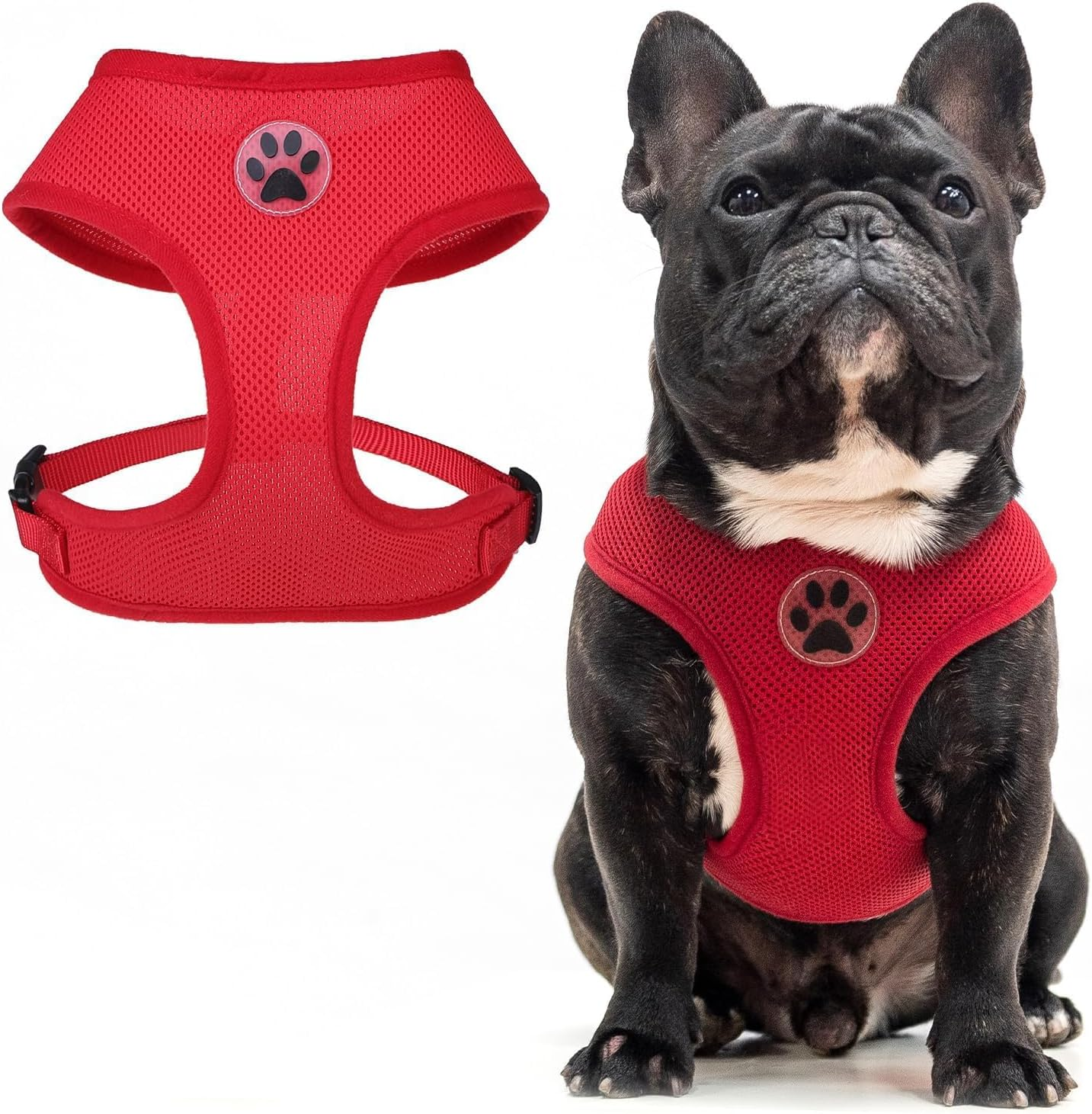 BINGPET Dog Vest Harness -Light Weight Breathable Sports Mesh - Pet Adjustable Harness Puppy Padded Harnesses Dog Vest Harness for Small Dogs