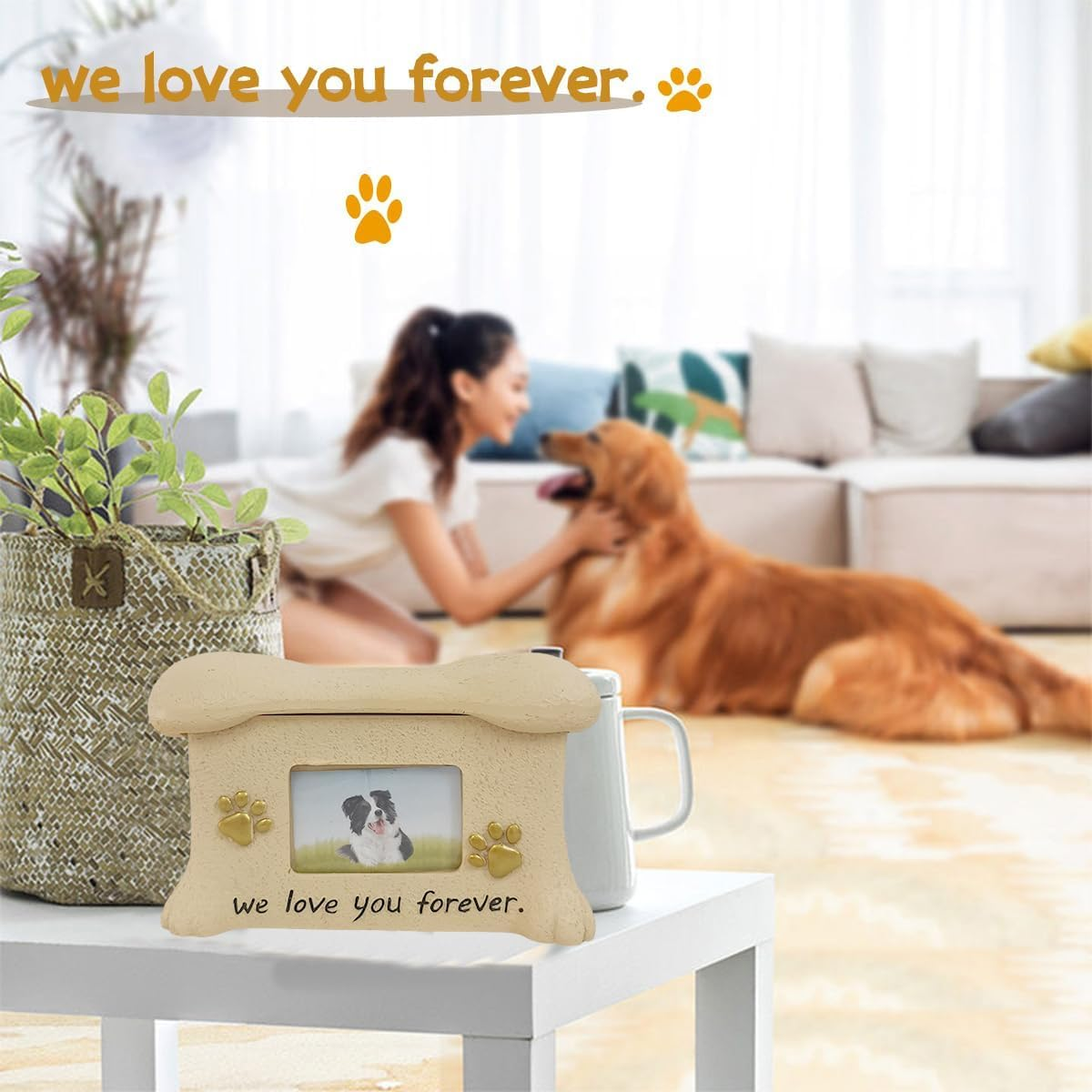 AIMALL Resin Pet Urn for Ashes - Memorial Keepsake Box for Dog, Cat, Puppy, or Kitten - with Photo Frame & Non-Slip Mat - Pet Cremation Urn for Beloved Pets image number 1