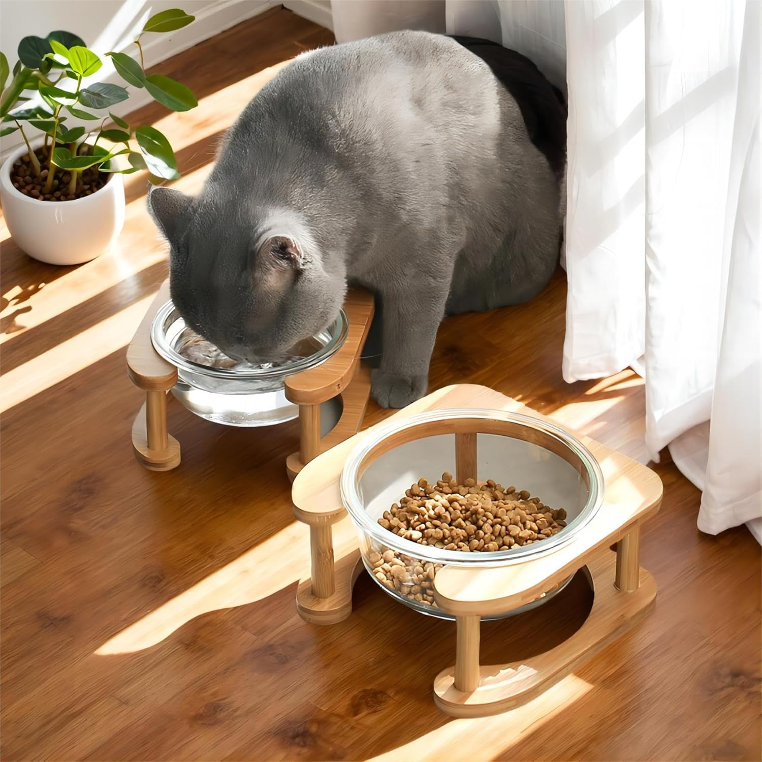 Glass Pet Bowl with Wooden Stand - Raised Comfort Feeding Bowl for Cats and Small Dogs - Transparent Bowl Easy Pick up to Clean image number 4